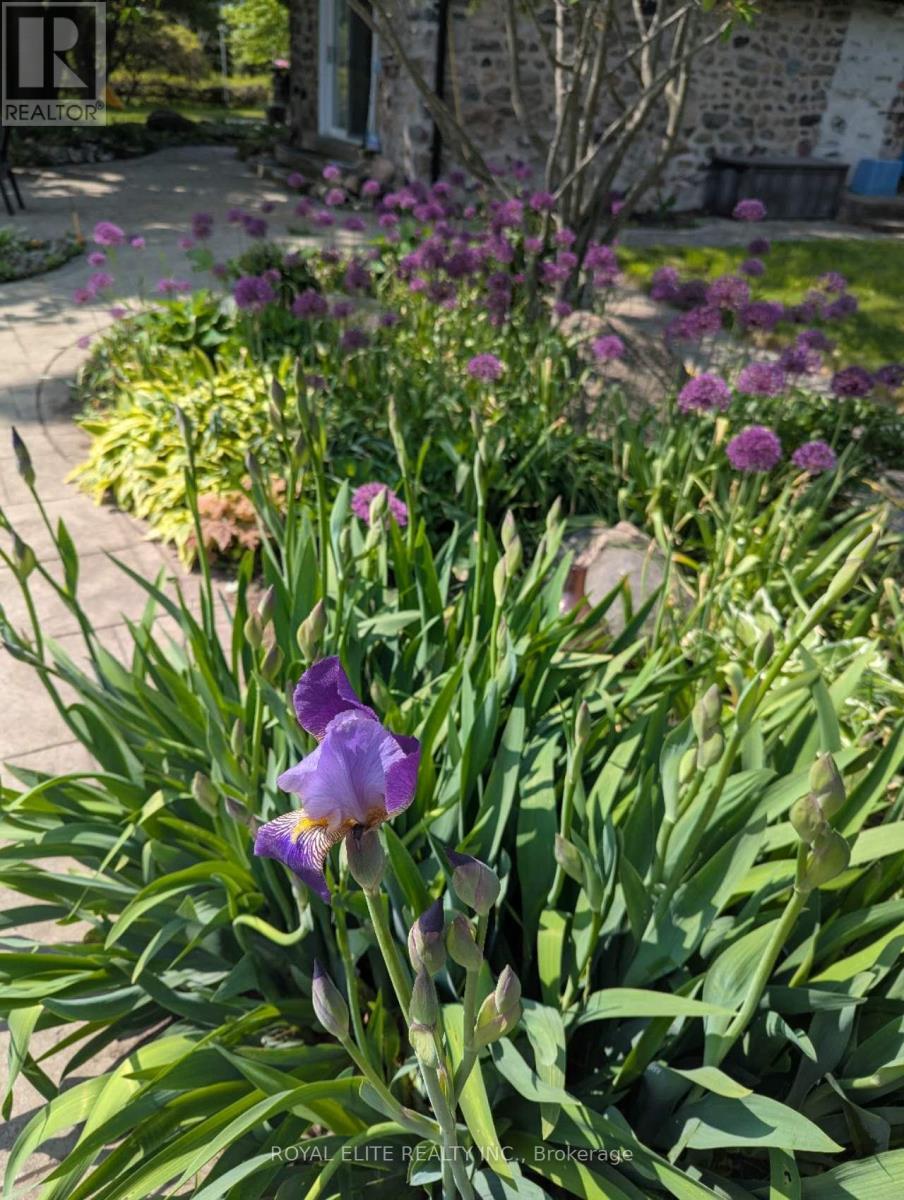 MLS® listing #29412903 for sale