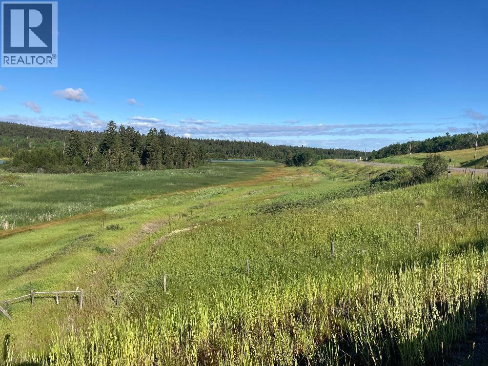 MLS® listing #29625954 for sale located at 3440 DUNSMUIR ROAD