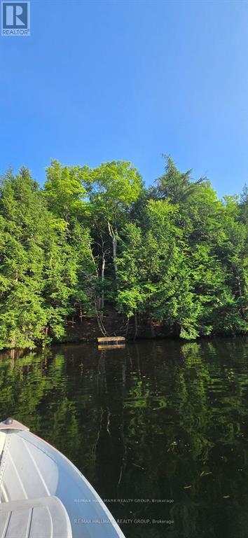 MLS® listing #29627655 for sale located at 0 MADAWASKA RIVER