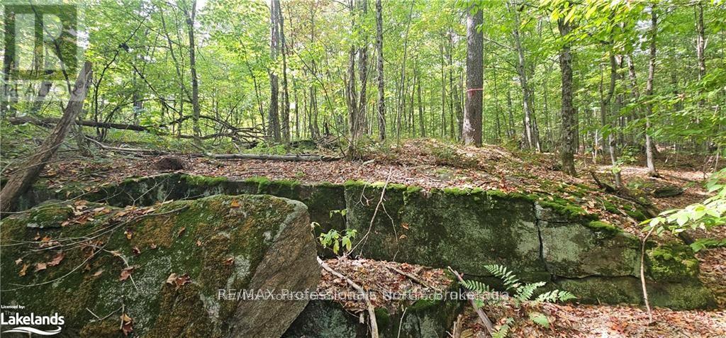 MLS® listing #29657176 for sale located at 00 SOUTH HORN LAKE ROAD