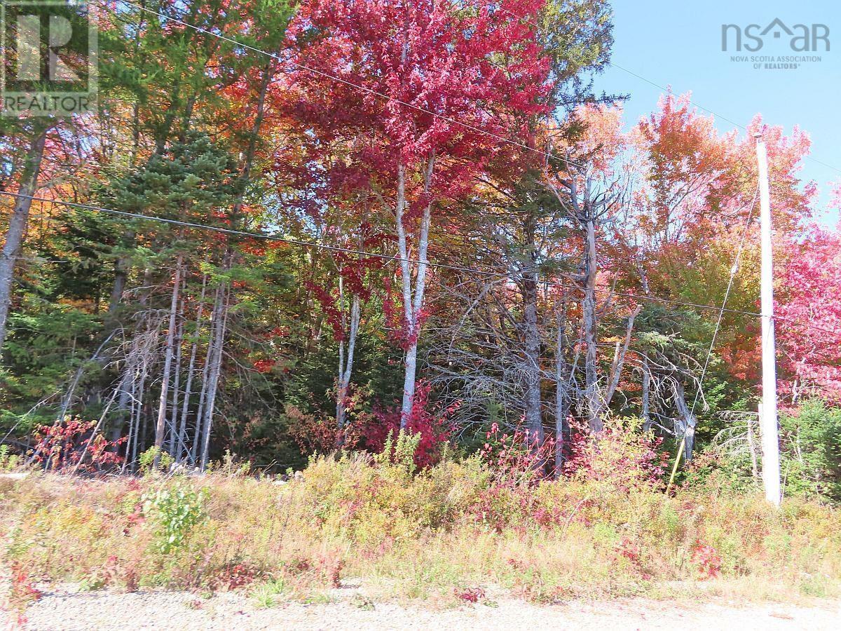 MLS® listing #29658295 for sale located at 128.5 Acres West Side Road