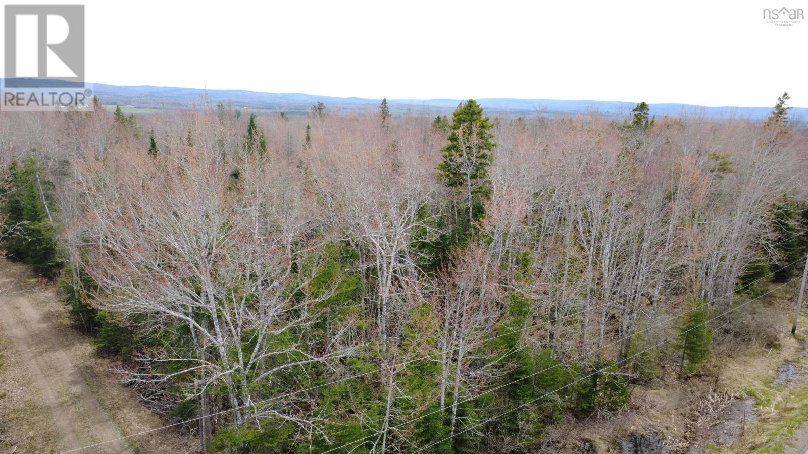 MLS® listing #29713909 for sale located at ~2 Arce Lot Black River Road