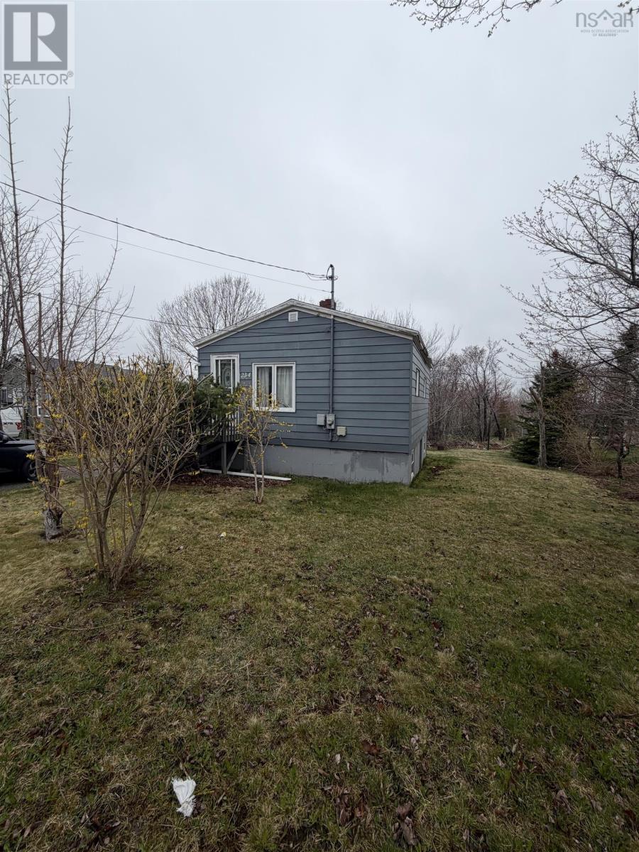 MLS® listing #29763776 for sale located at 234 Douglas Avenue