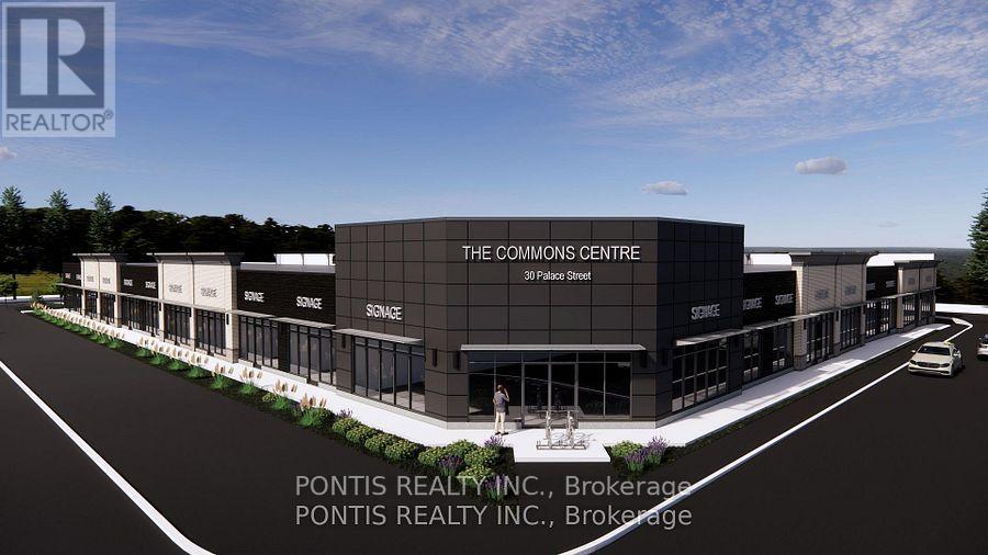 MLS® listing #29814599 for sale located at 115 - 30 PALACE STREET