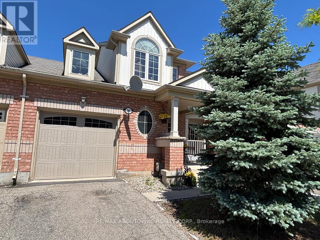 MLS® listing #29855326 for sale located at 36 VAN FLEET TERRACE
