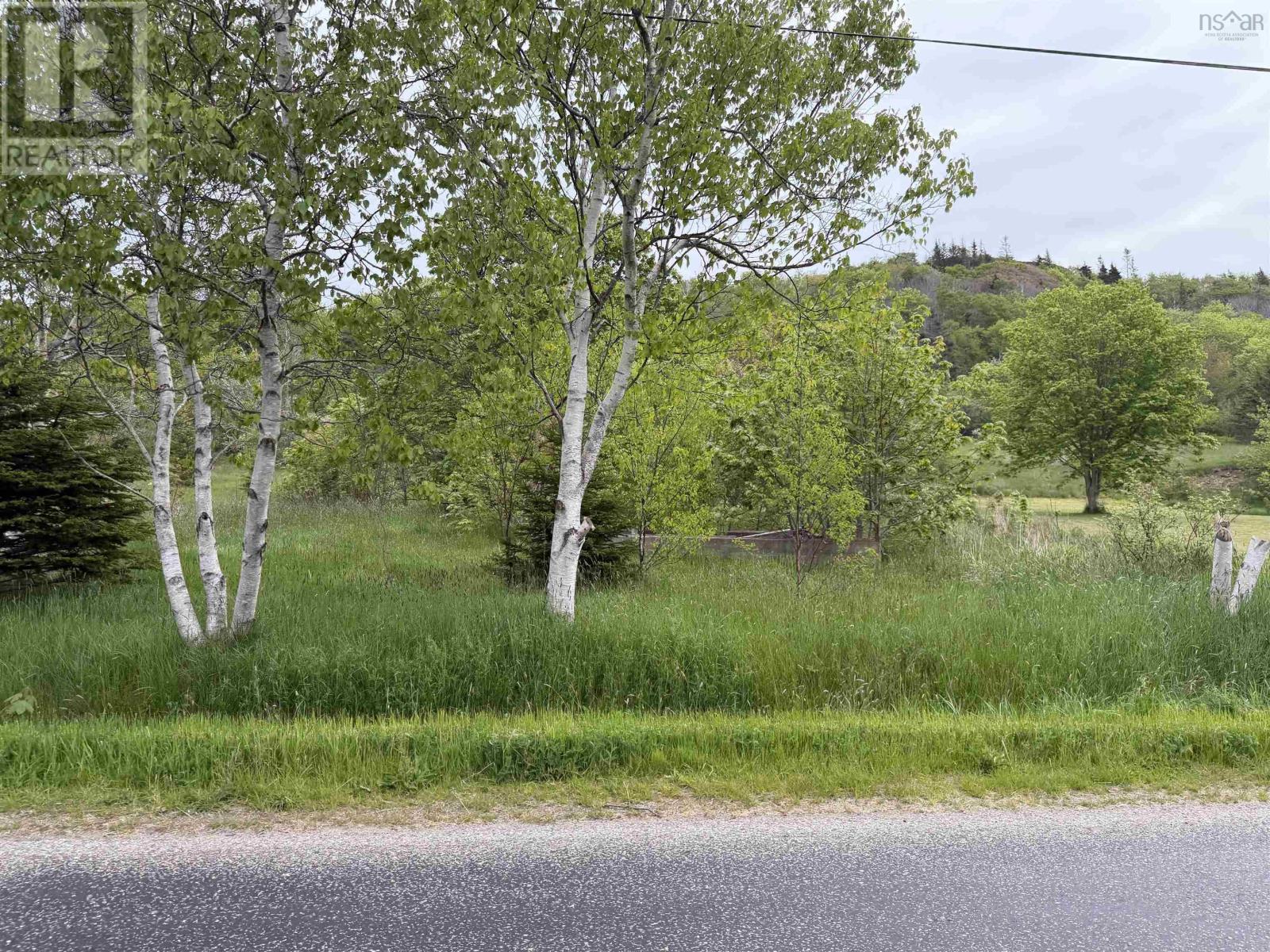 MLS® listing #29924114 for sale located at 262 Trout Cove Road