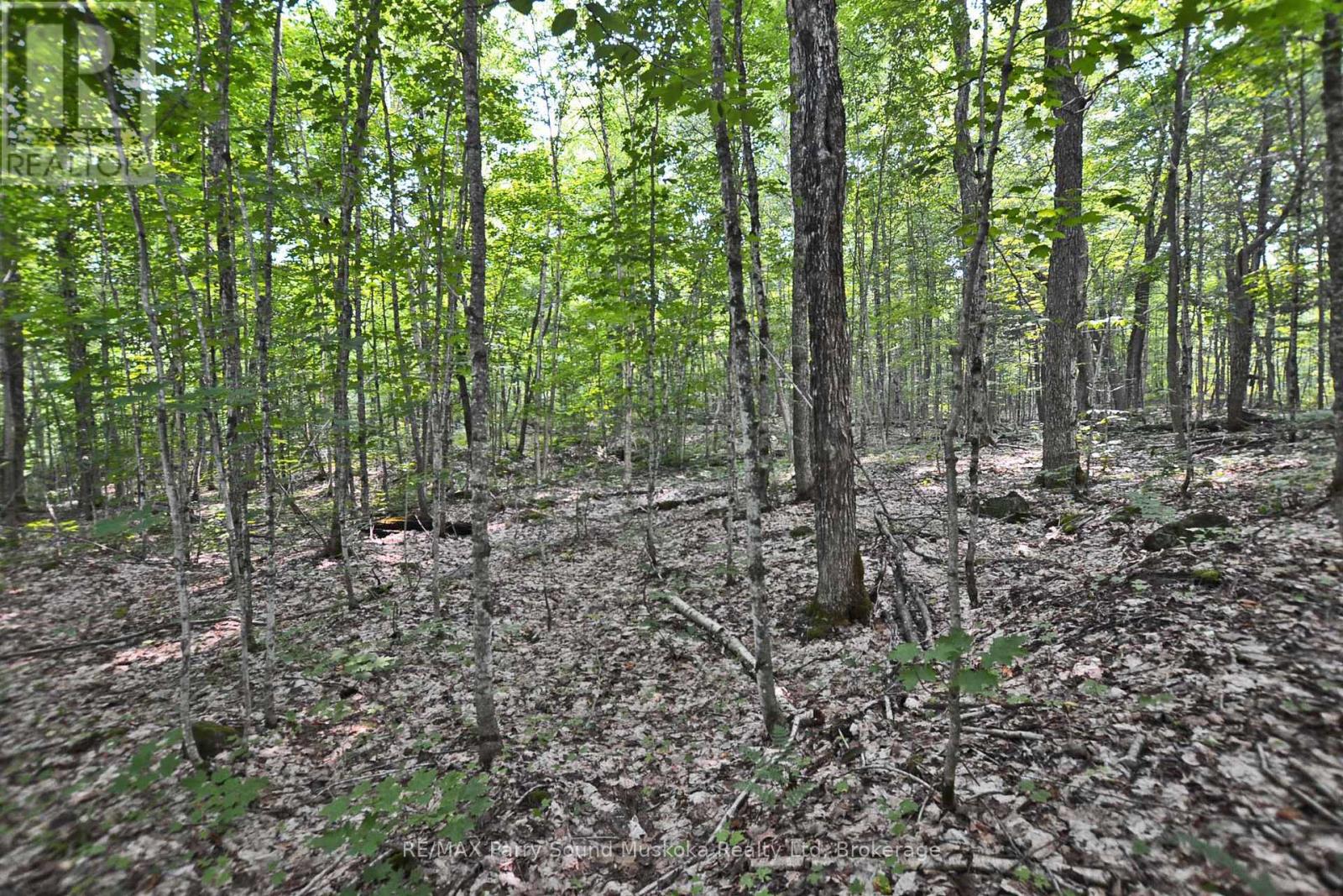 MLS® listing #30017624 for sale located at PART 2 - 0 LYNDSEY LANE