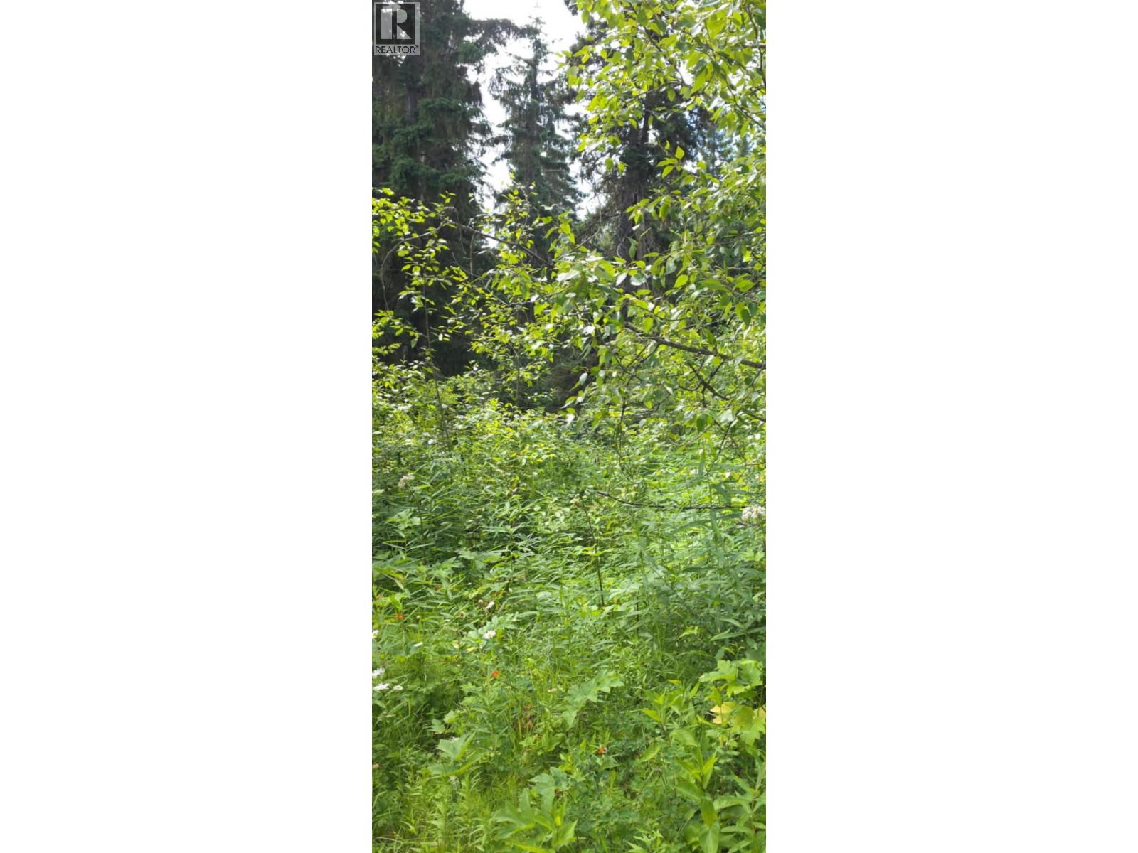 MLS® listing #30021061 for sale located at Lot 2 CHIEF LAKE PO ROAD