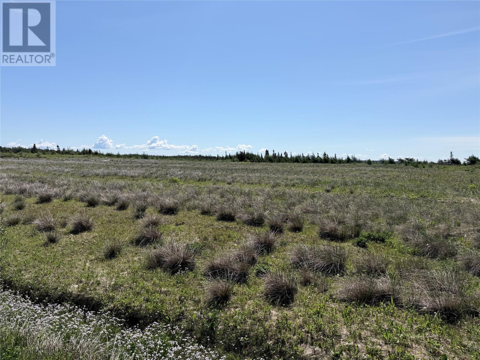 MLS® listing #30061734 for sale located at 152 Hodgewater Line