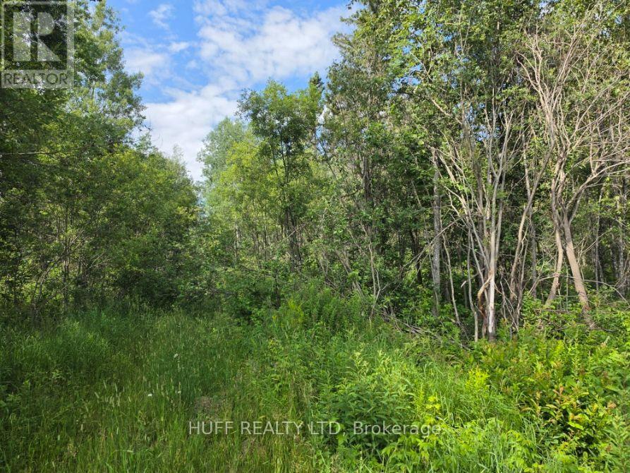 MLS® listing #30074453 for sale located at PCL 11012 HOUGH LAKE ROAD