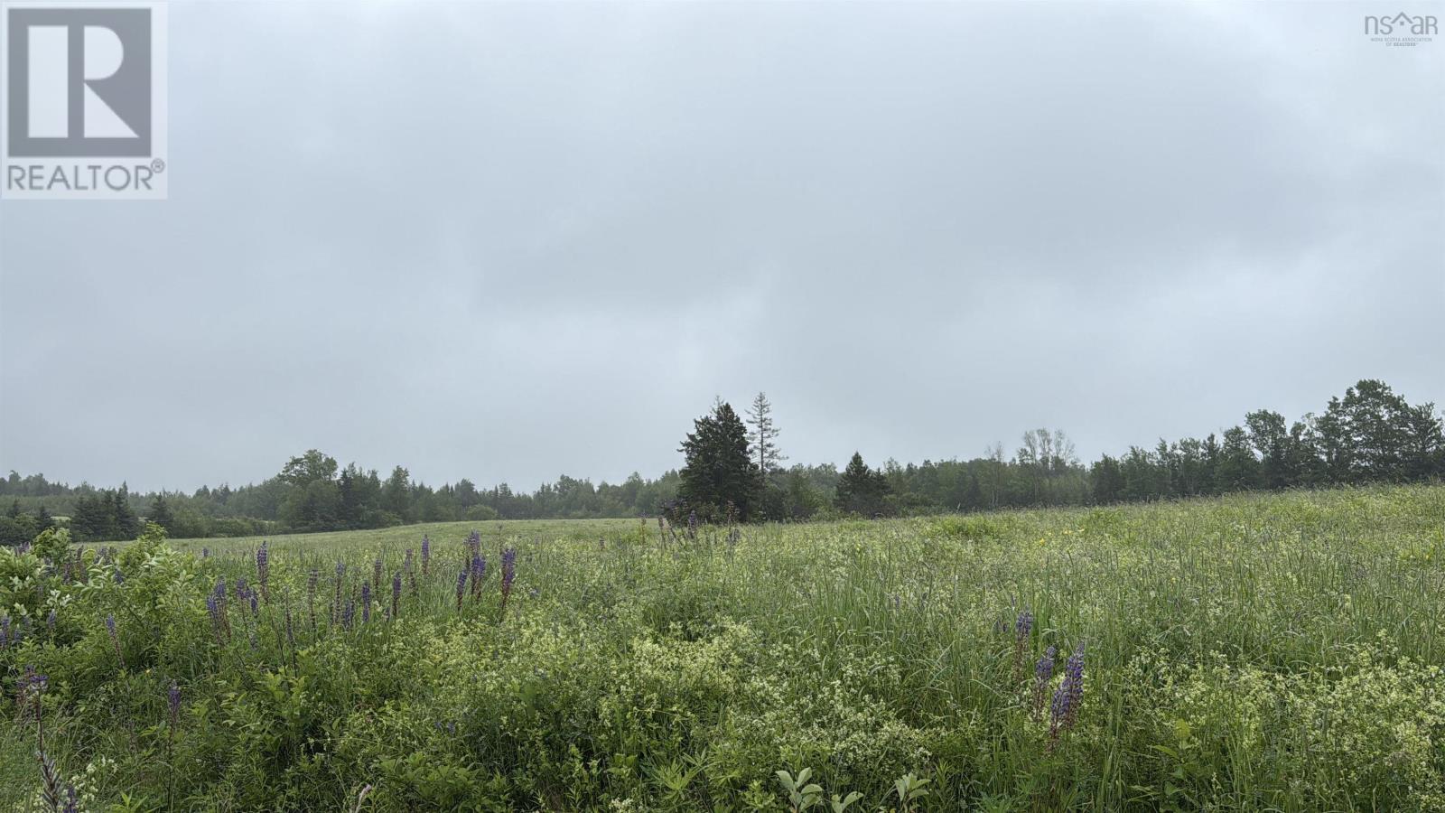 MLS® listing #30090822 for sale located at Lot Wallie Mingo Road