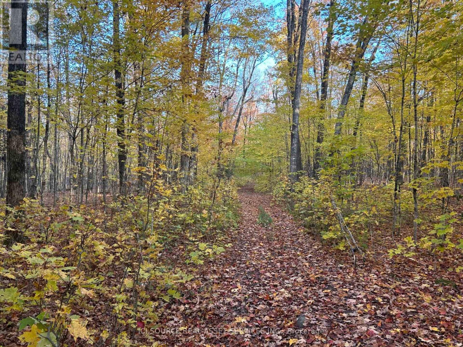 MLS® listing #30134586 for sale located at 843 ROYSTON ROAD