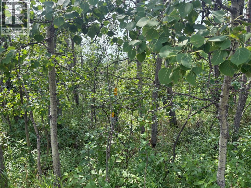 MLS® listing #30135242 for sale located at 324, 22113 TWP RD 440