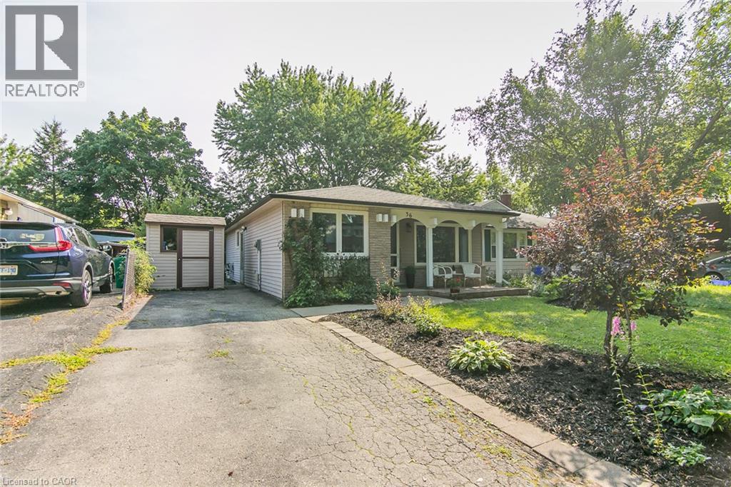 MLS® listing #30155249 for sale located at 36 AMOS Avenue