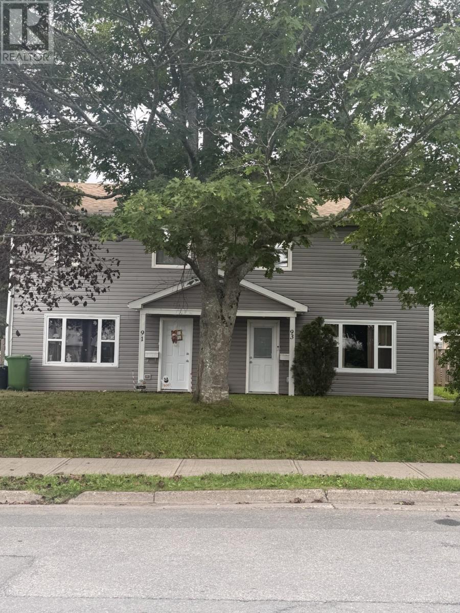 MLS® listing #30285093 for sale located at 91 & 93 91/93 BRAEMORE AVENUE, ANTIGONISH, N.S.