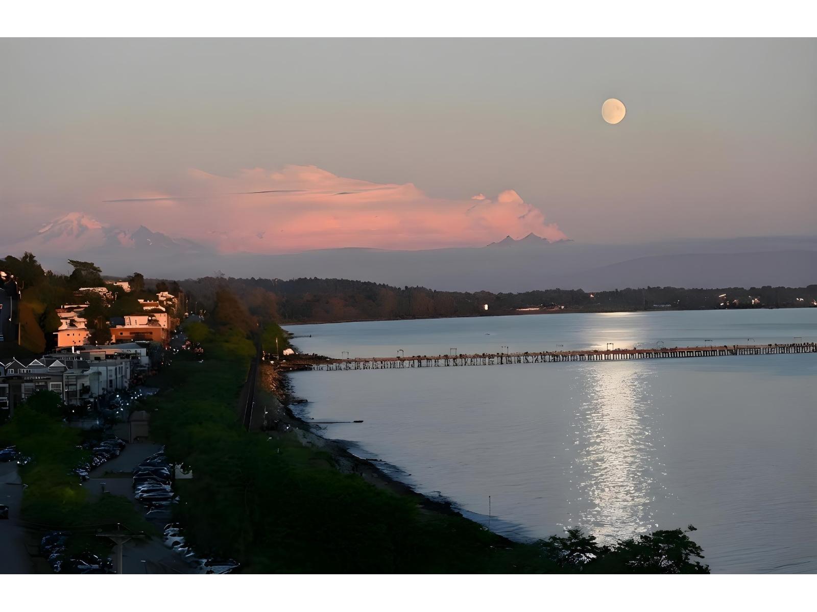 MLS® listing #30328824 for sale located at 14501 MARINE DRIVE