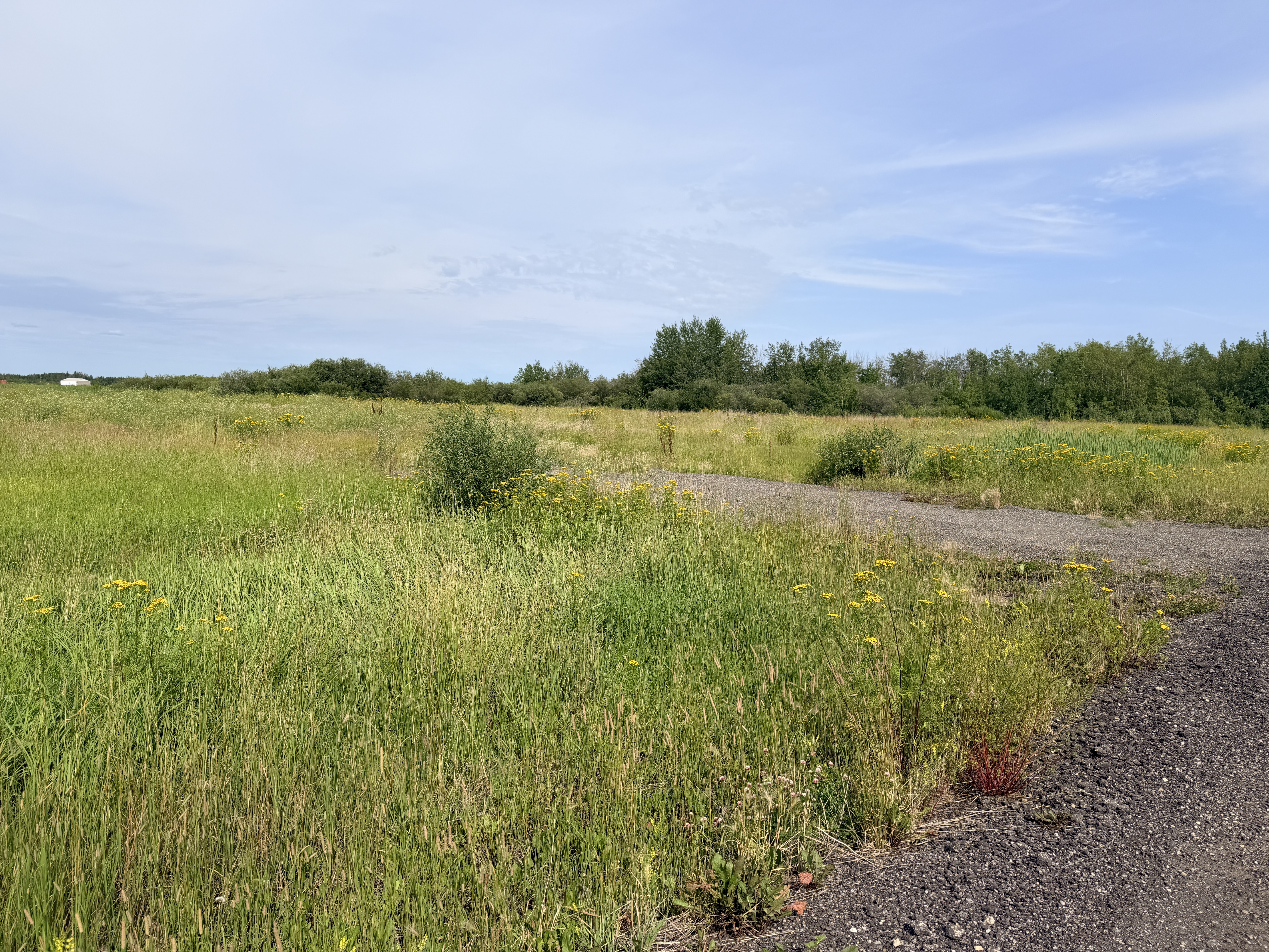  45399121, Alberta,