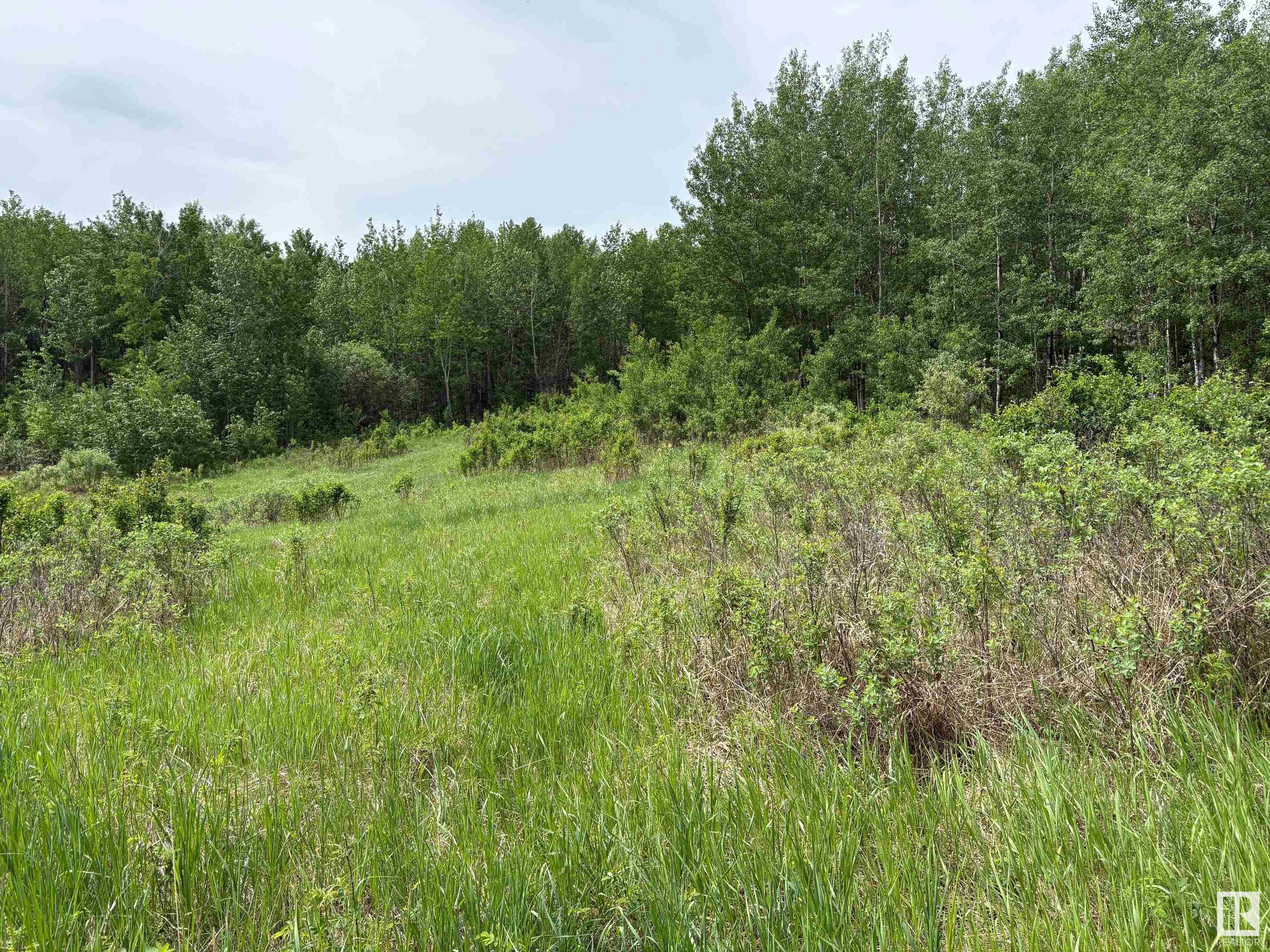 SE-16-50-20-W4 Twp 502, RR 203A, E4439745, Alberta,