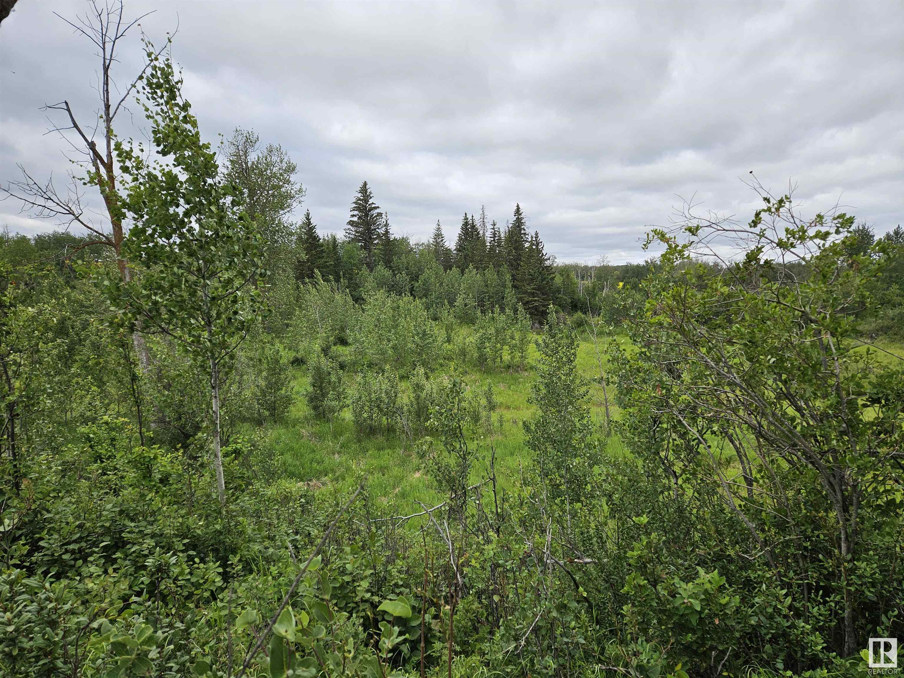 TWP RD 533 RR222, E4447538, Alberta,