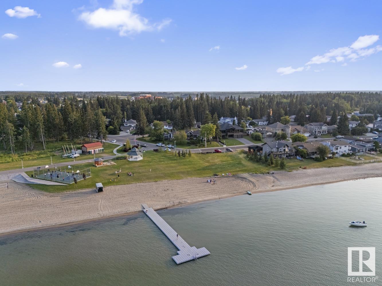 203 PINE Avenue, E4450784, Alberta,