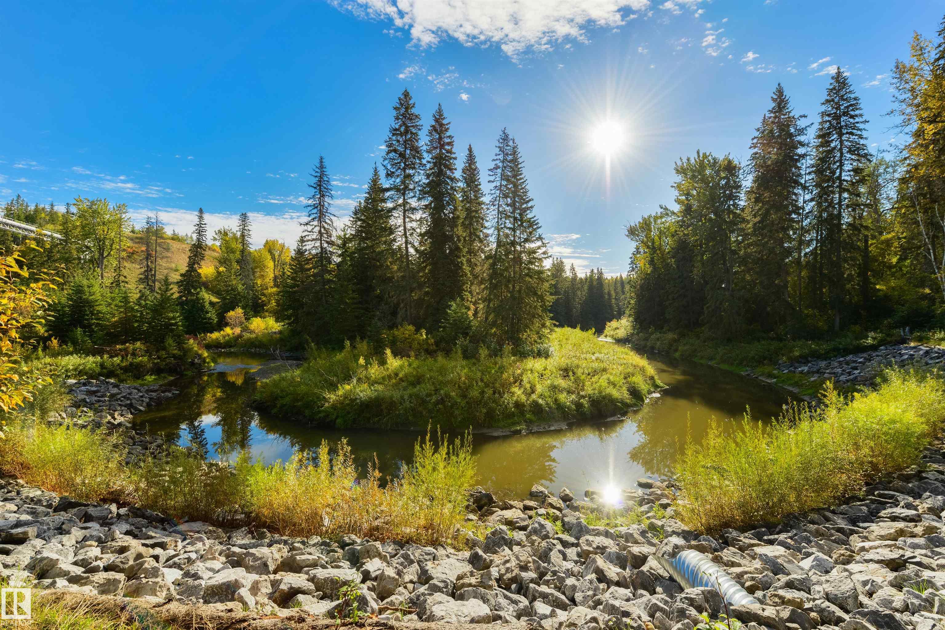 14007 53 Avenue, E4452093, Alberta,