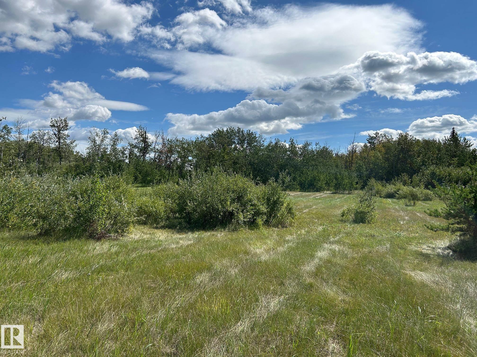 208 Oak Street, E4452460, Alberta,
