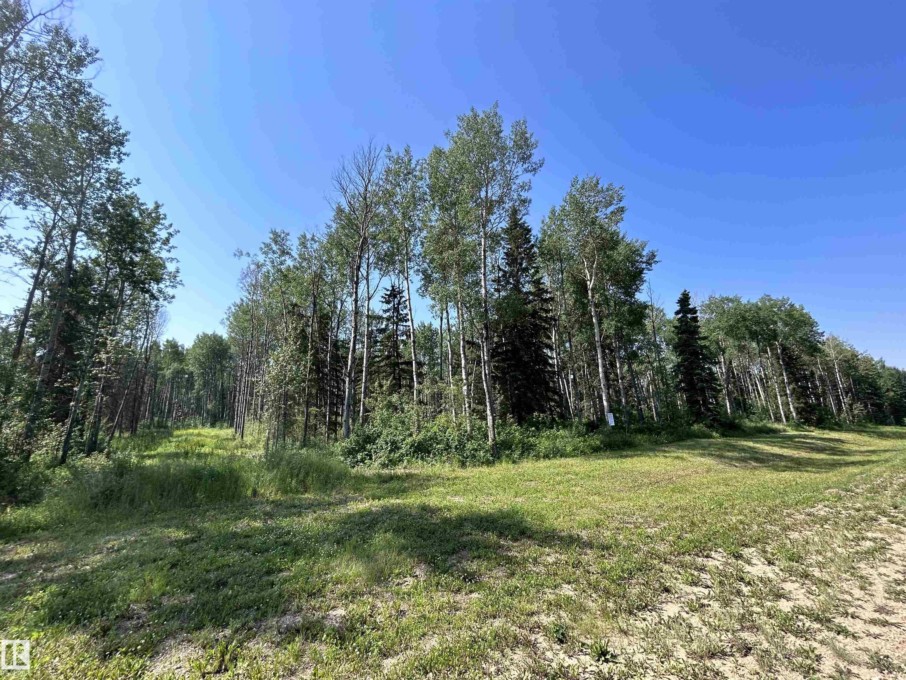 Lot 3 Forest Road (RR 214), E4453703, Alberta,