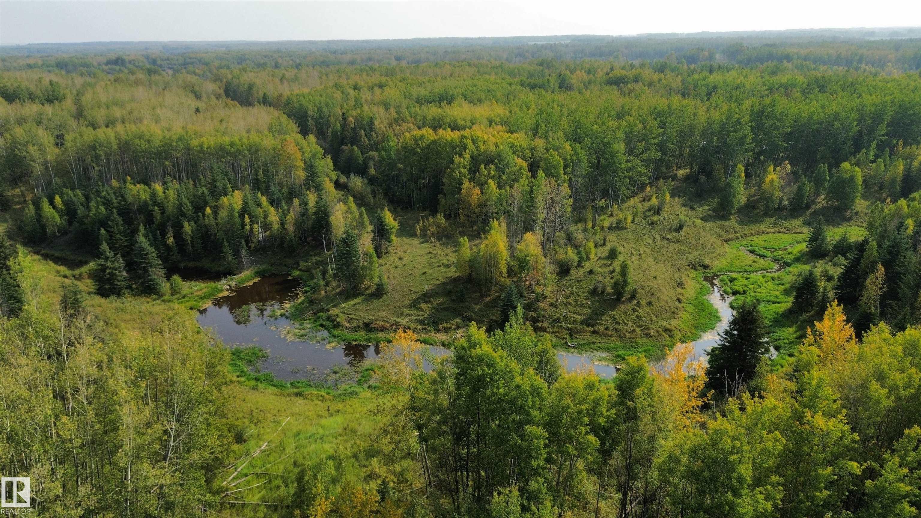Third View of on Twp 484, None, Rural Brazeau County, Alberta, T0C 0A0