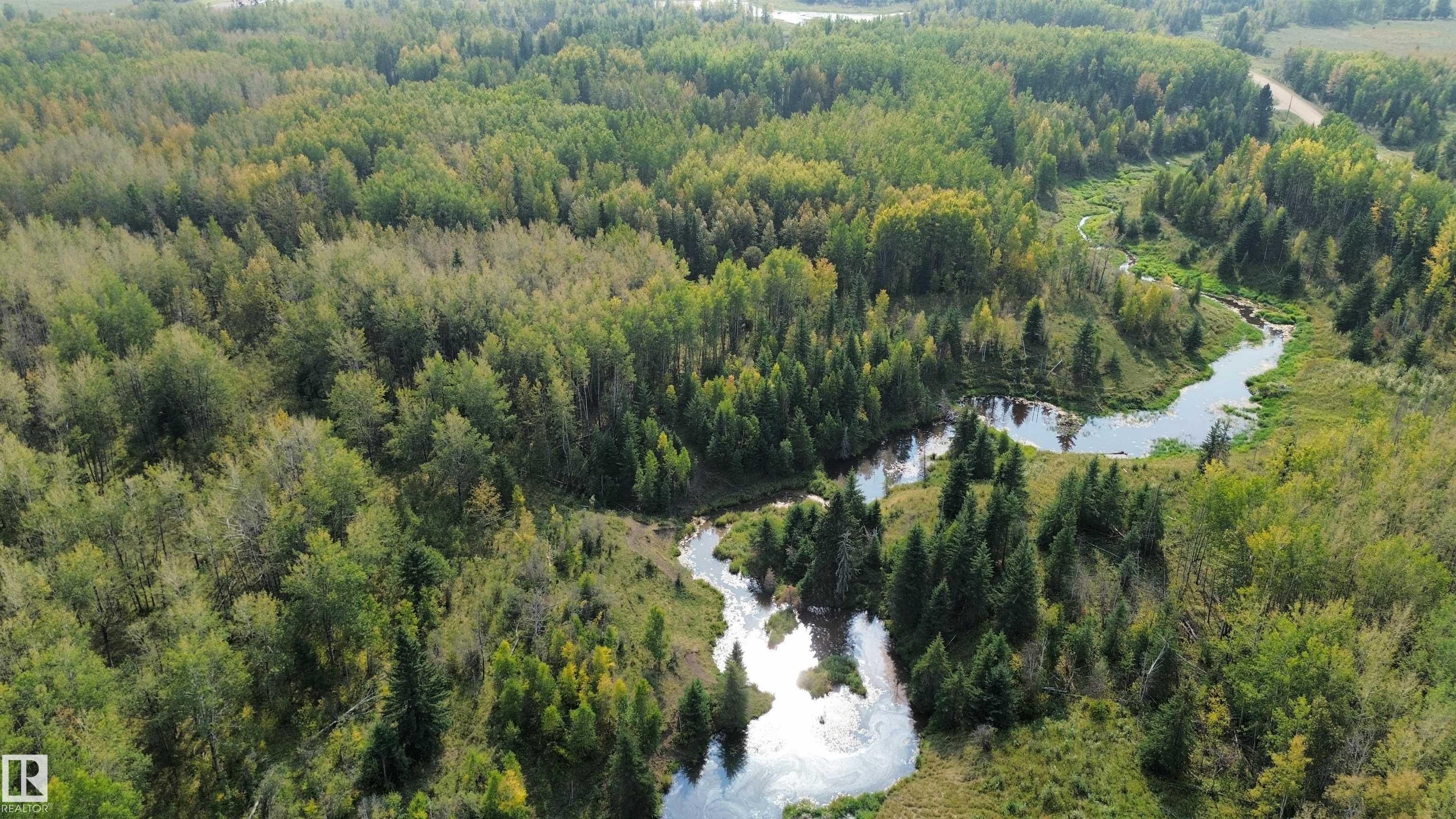 Fourth View of on Twp 484, None, Rural Brazeau County, Alberta, T0C 0A0