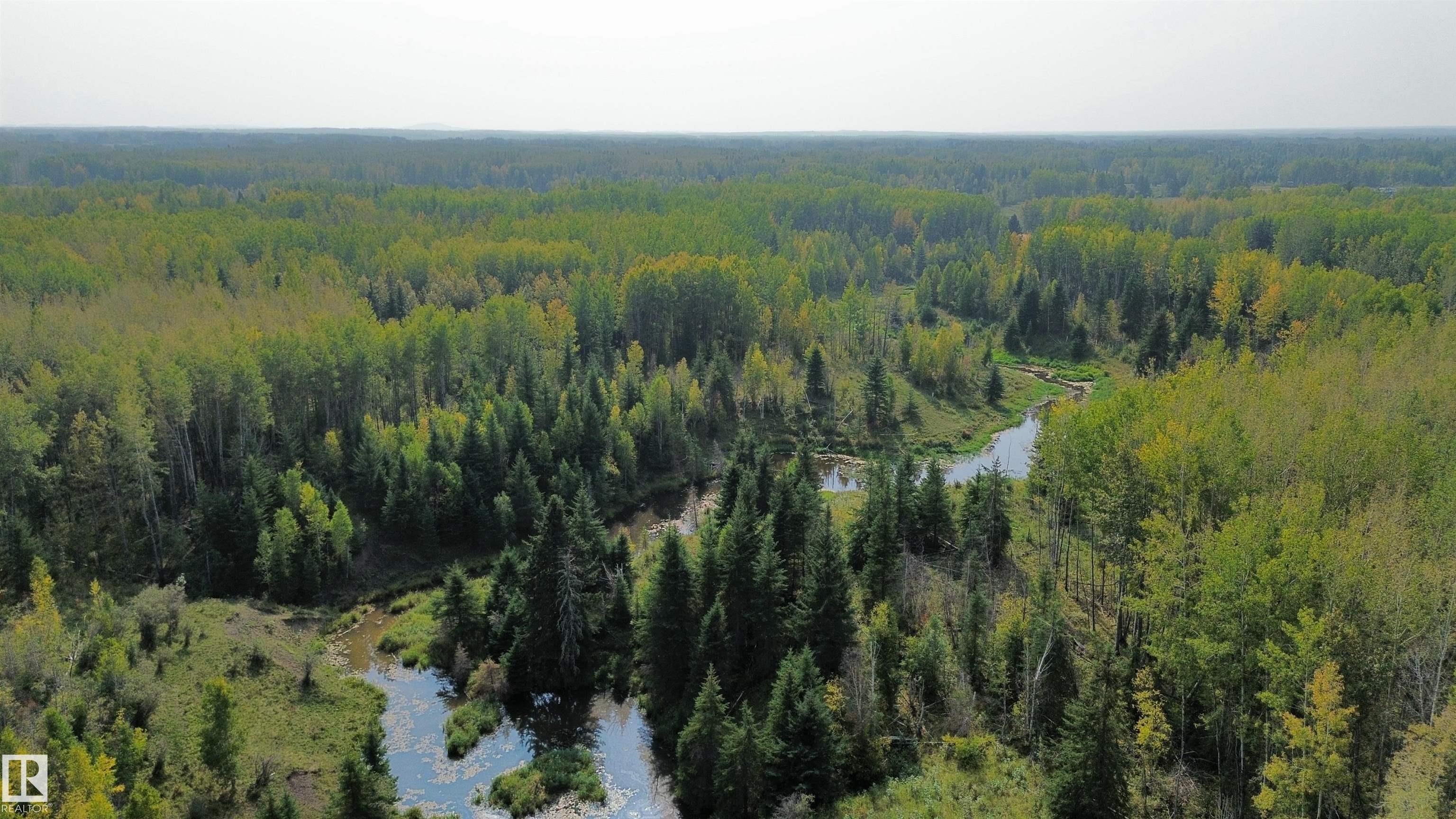 Fifth View of on Twp 484, None, Rural Brazeau County, Alberta, T0C 0A0