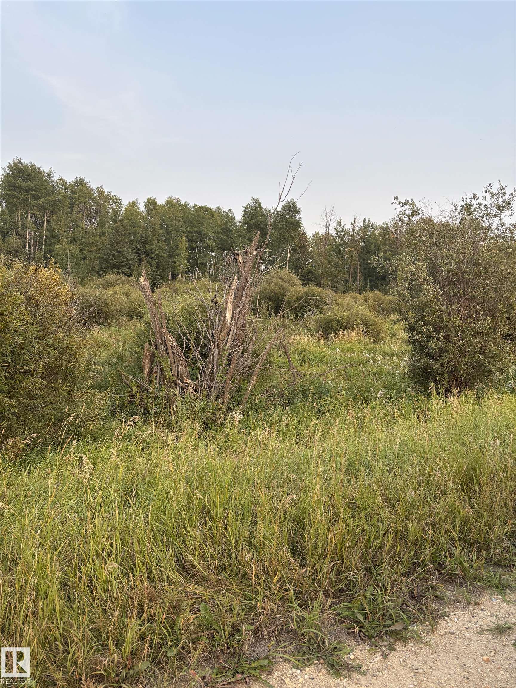 Fifth View of HYW 43 RR 42, None, Rural Lac Ste. Anne County, Alberta, T0E 1G0