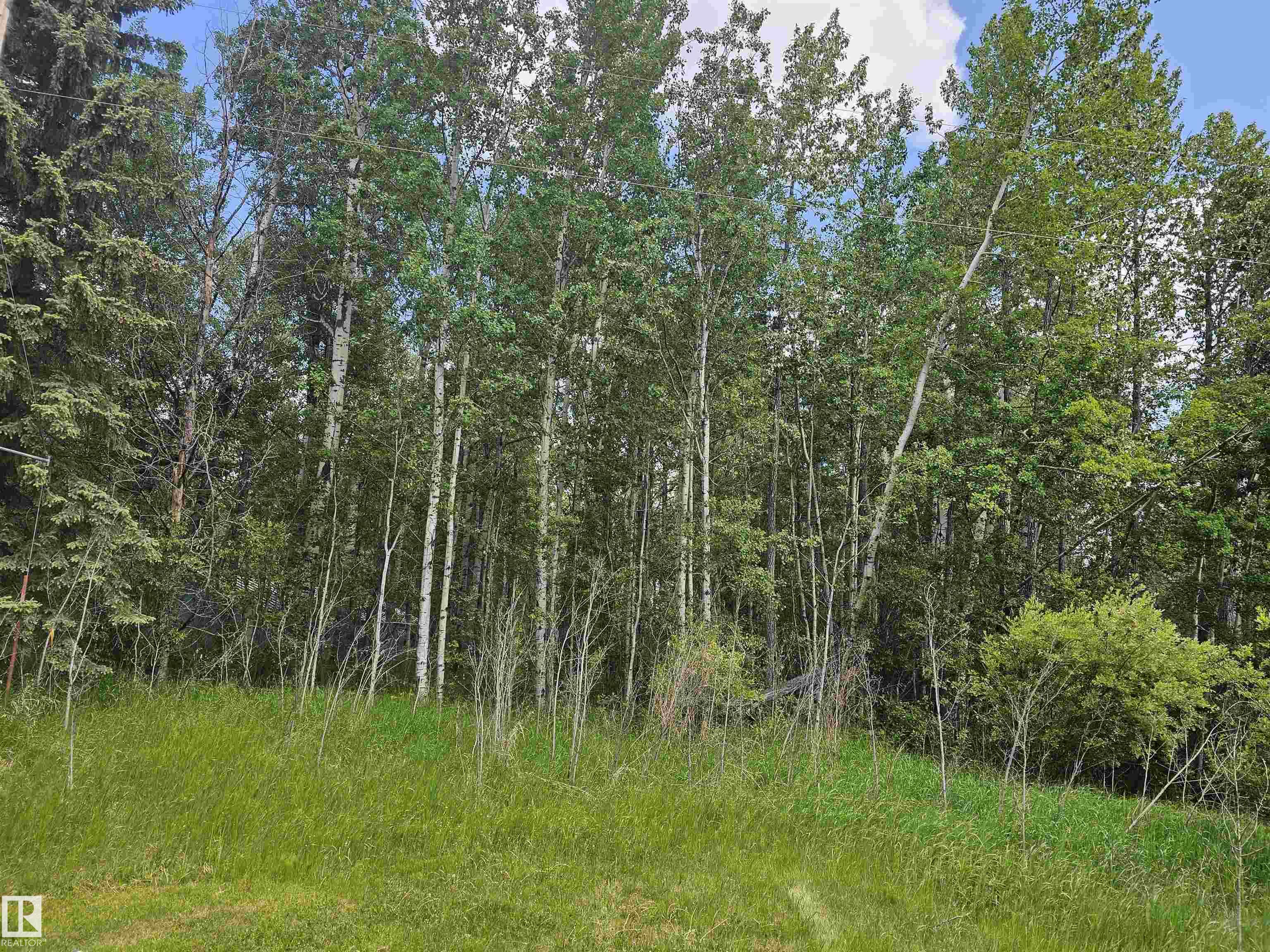 Fourth View of 82-4418 HWY 633, Birchwood Estates, Rural Lac Ste. Anne County, Alberta, T0E 0L0