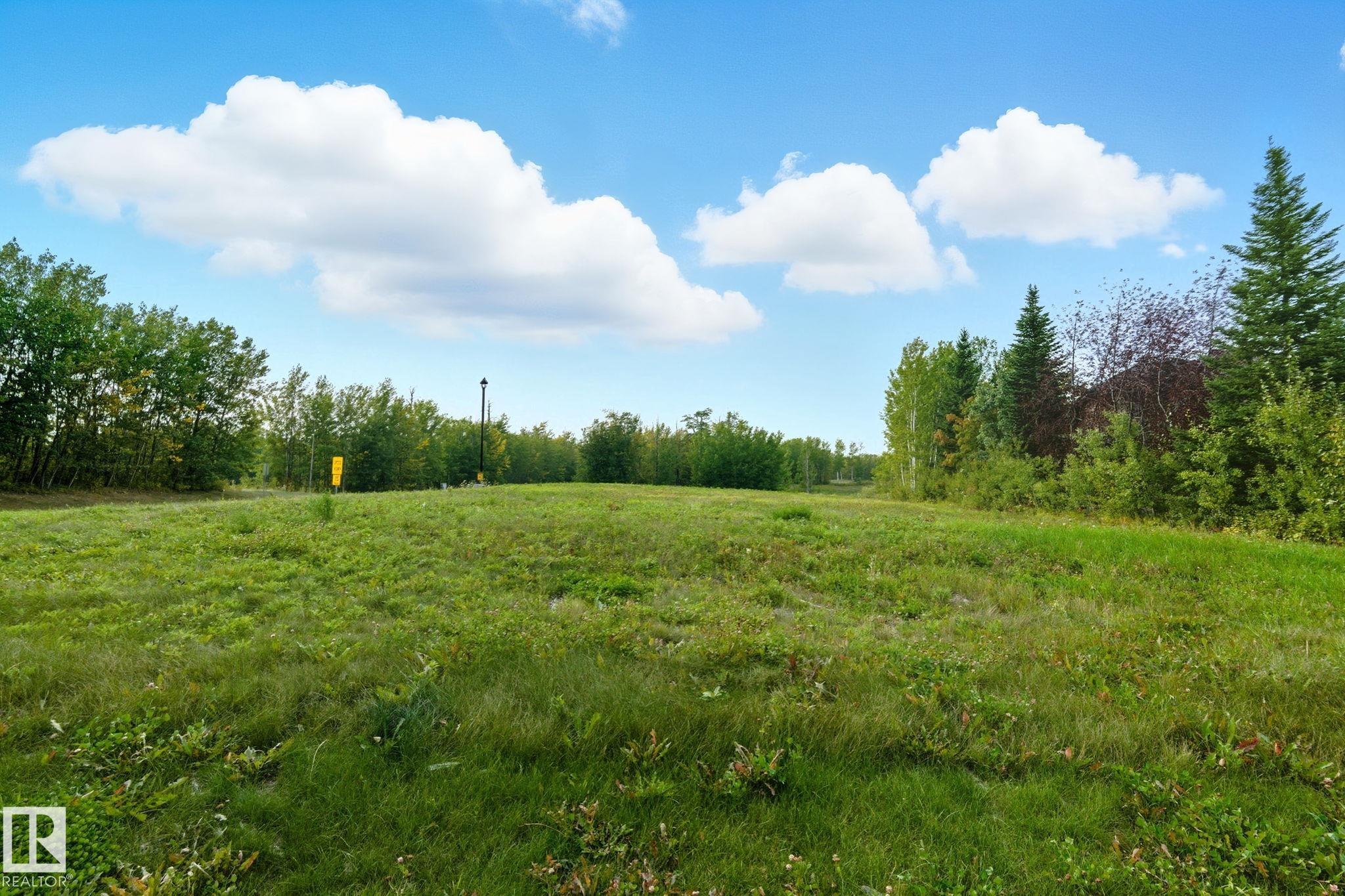Fourth View of 1 51025 RGE ROAD 222, West Bear Haven, Rural Strathcona County, Alberta, T8C 1J5