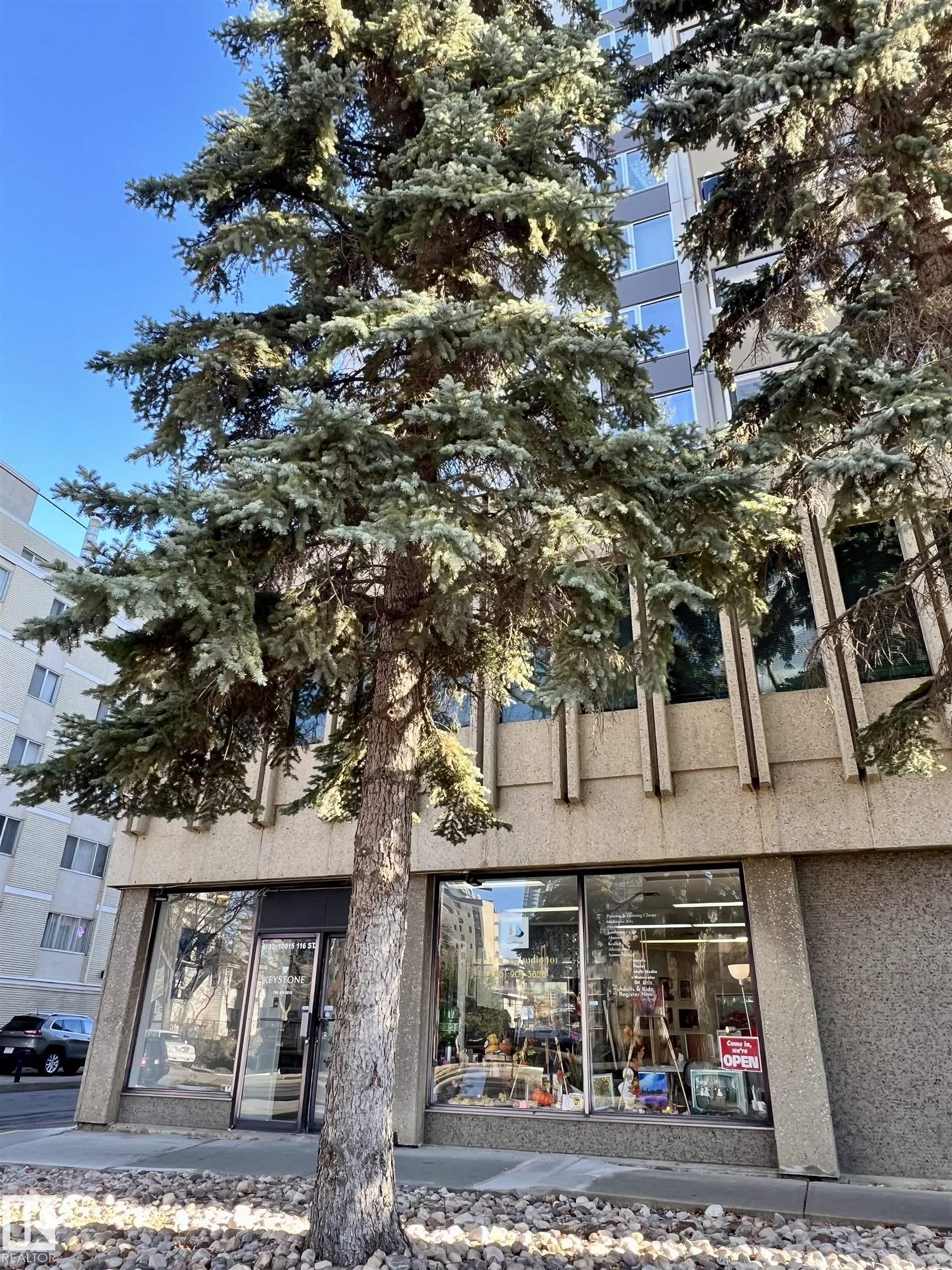 105 10011 116 Street, E4464489, Alberta,