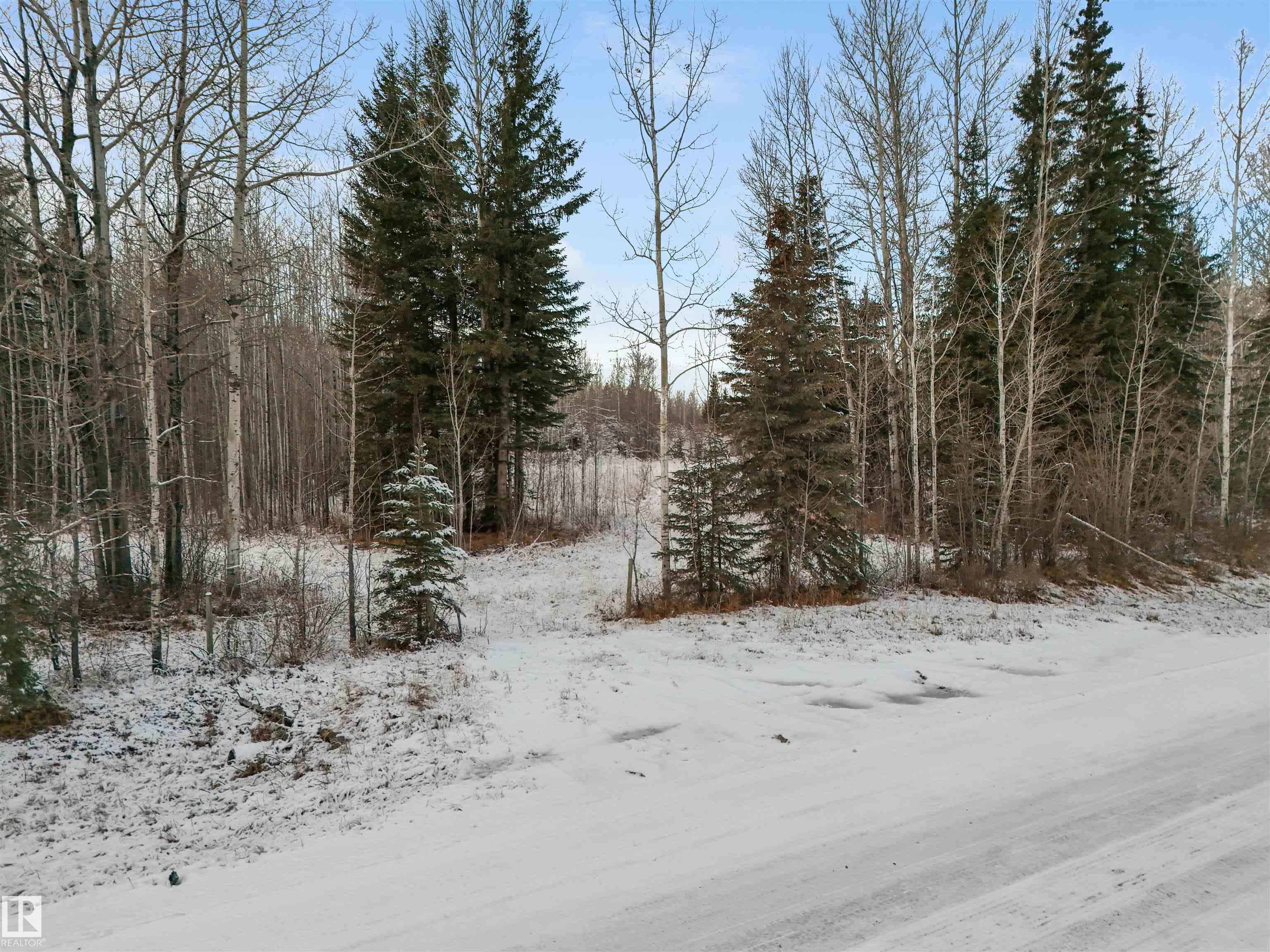 Main View of Twp 501 Range Road 91 - Lot 3, None, Rural Brazeau County, Alberta, T7A 2A3