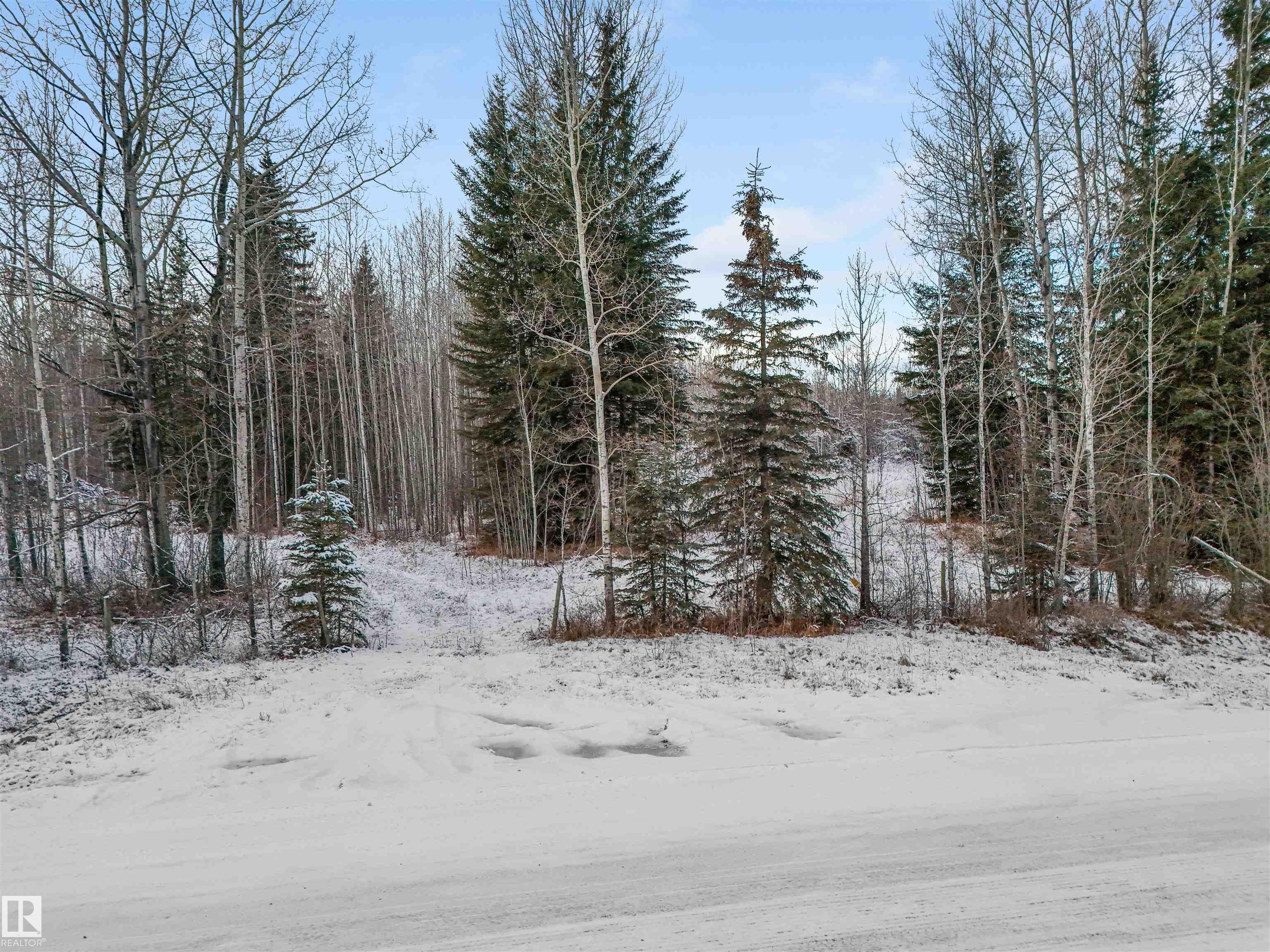 Second View of Twp 501 Range Road 91 - Lot 3, None, Rural Brazeau County, Alberta, T7A 2A3