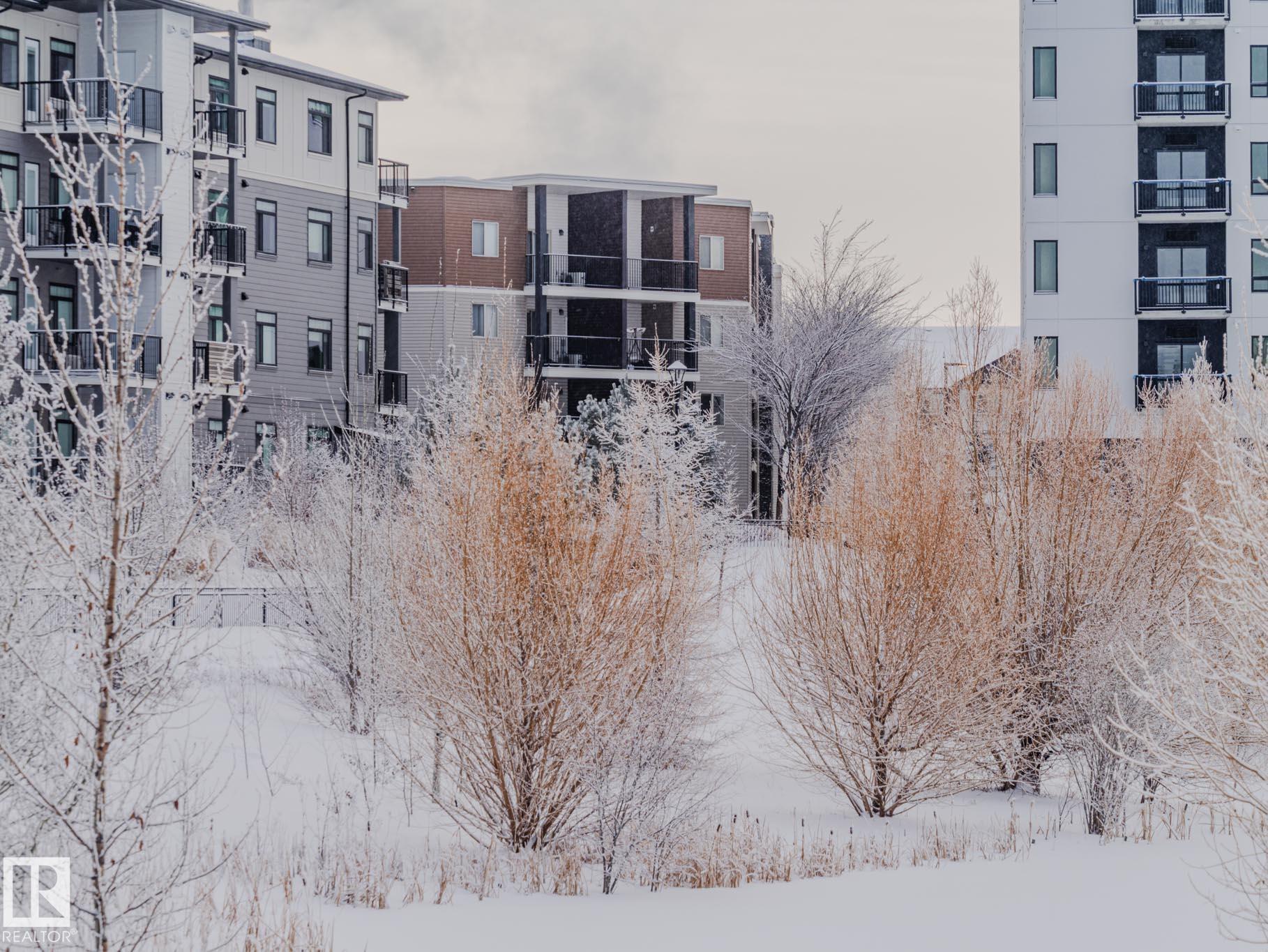 211 11803 22 Avenue, E4469246, Alberta,