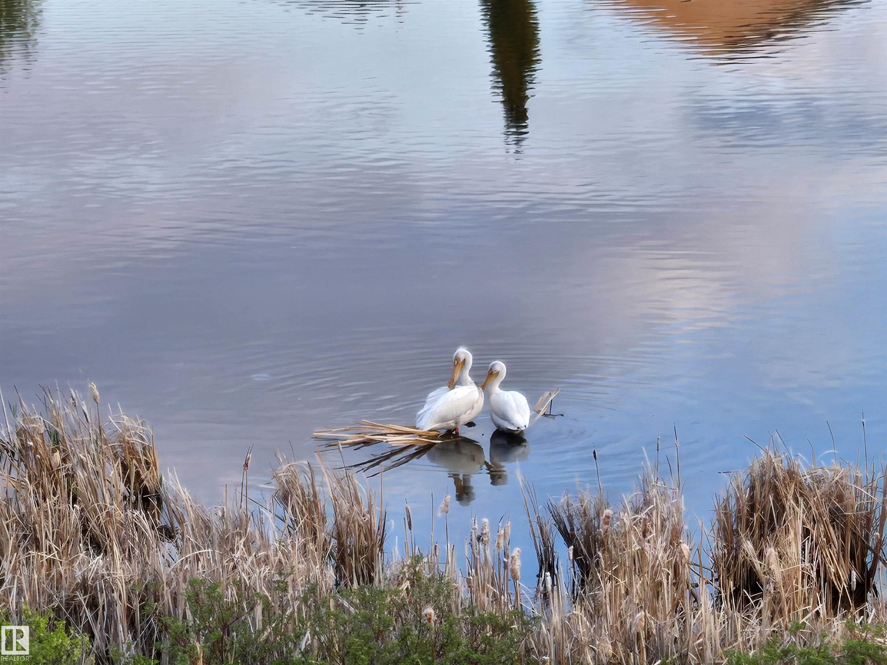 Fifth View of 466 CHURCHILL Crescent, Lakeland Ridge, Sherwood Park, Alberta, T8H 0R9