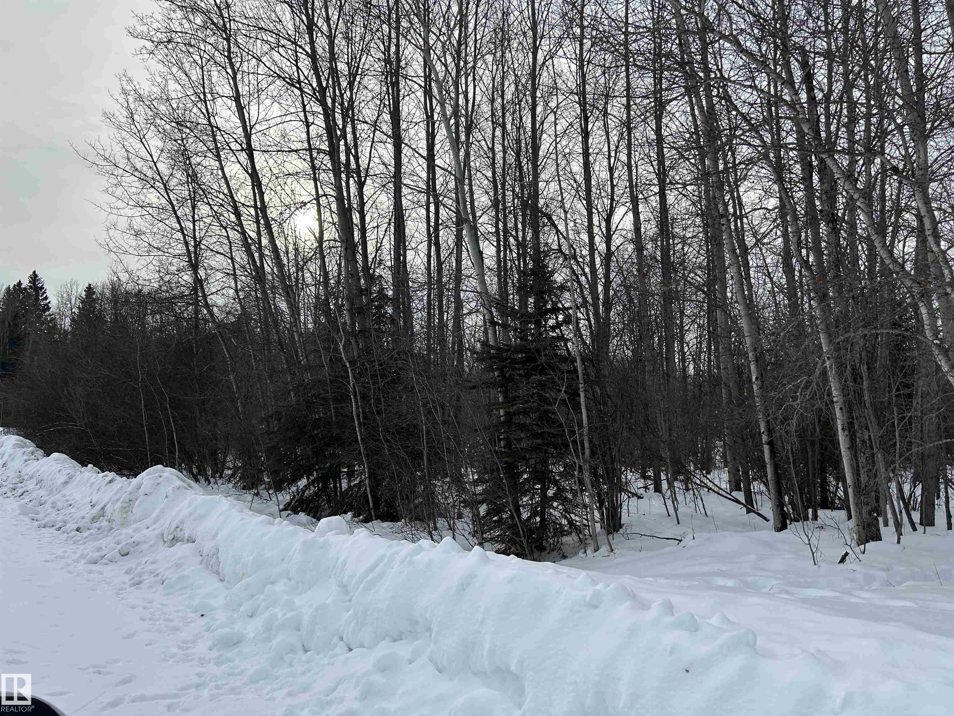 4-59011 Rge Rd 232, E4471713, Alberta,