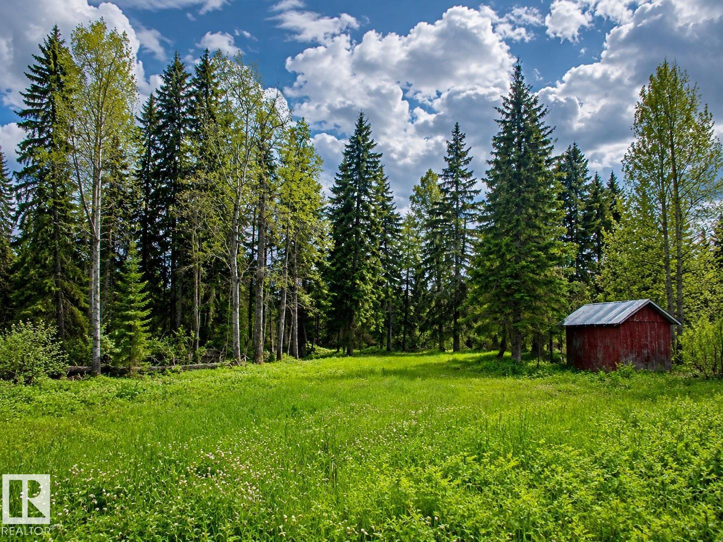 Fourth View of 5115 TWP ROAD 490A, None, Rural Brazeau County, Alberta, T0C 0C0