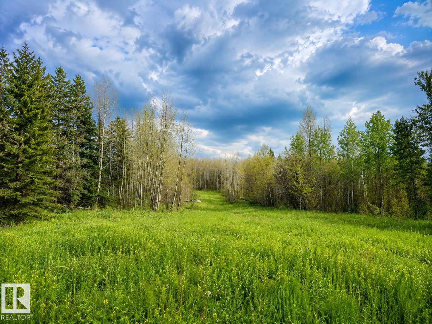 Fifth View of 5115 TWP ROAD 490A, None, Rural Brazeau County, Alberta, T0C 0C0