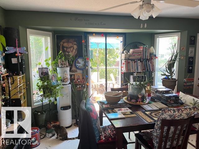 Third View of 4414 YEOMAN Close, Onoway, Onoway, Alberta, T0E 1V0