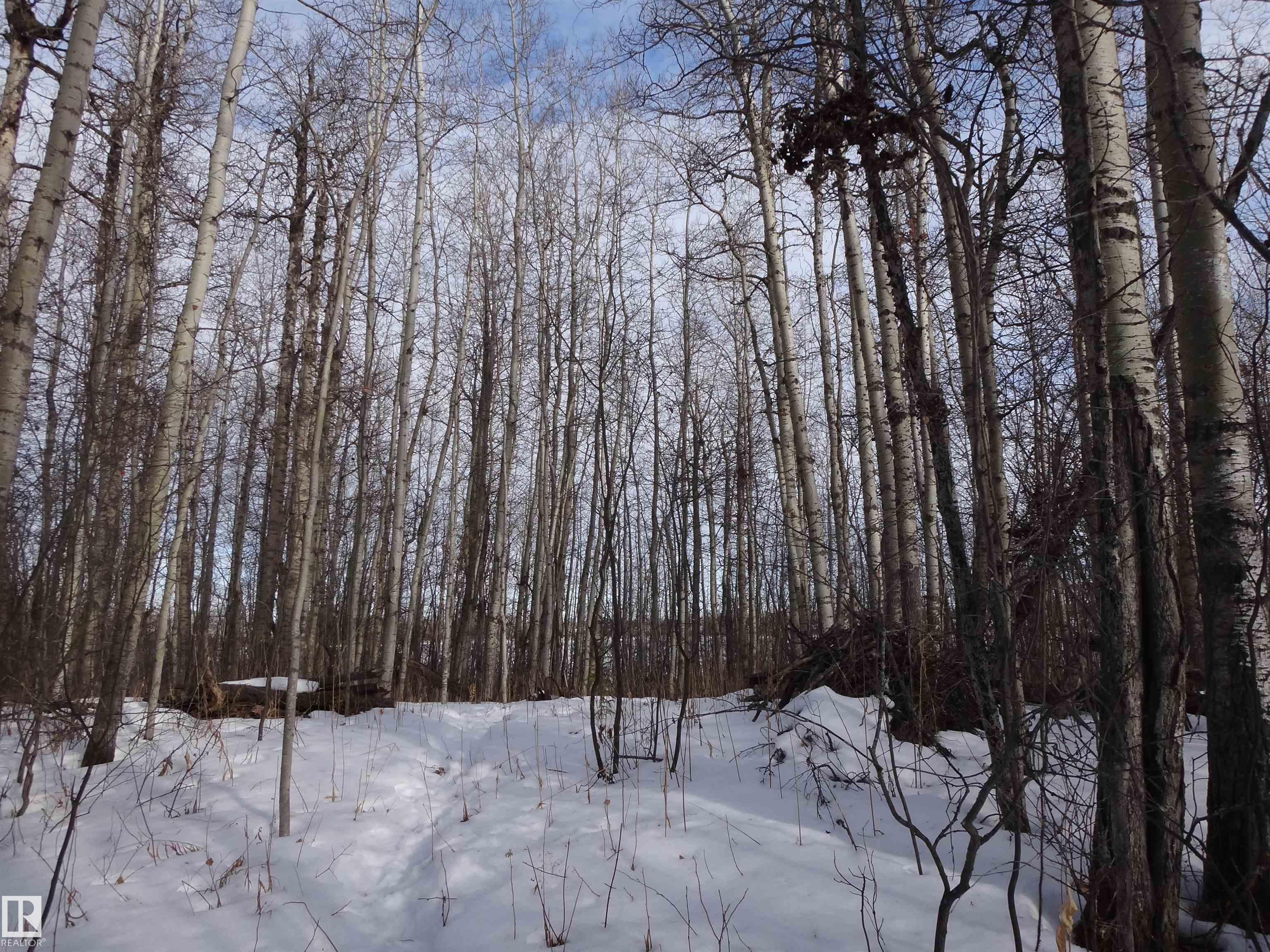 20 53102 rge rd 31, E4473821, Alberta,