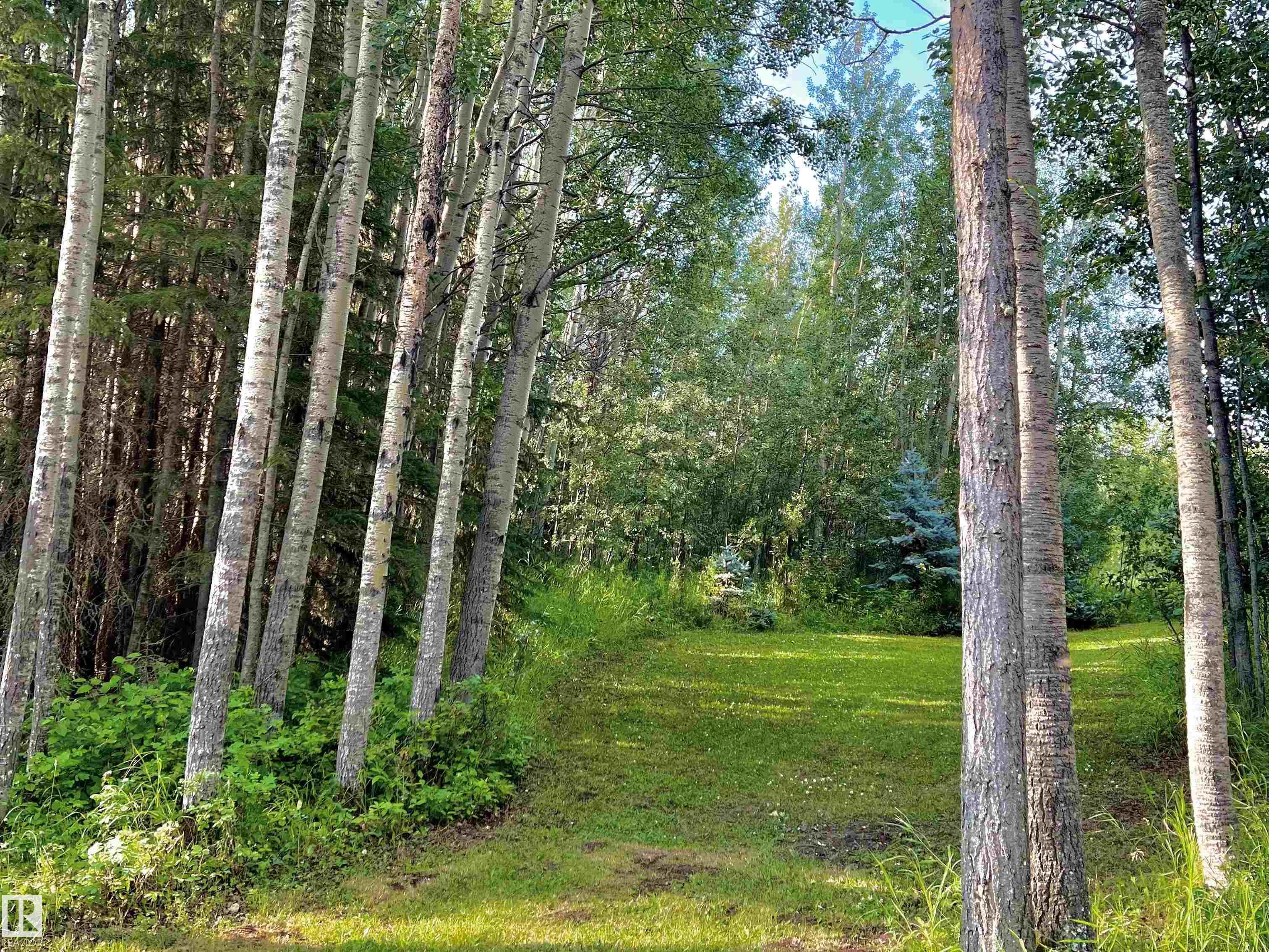 Fourth View of #7 Hauser’s Cove, Buck Lake, Rural Wetaskiwin County, Alberta, T0C 0T0