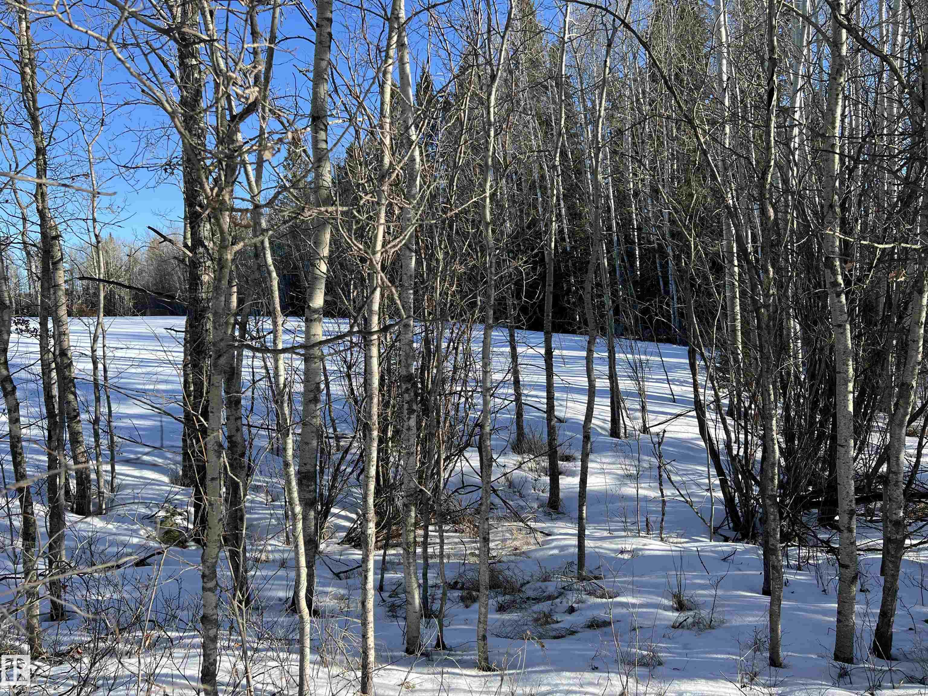 Second View of SE-12-49-8-W5M Brazeau County, None, Rural Brazeau County, Alberta, T0E 1Z0