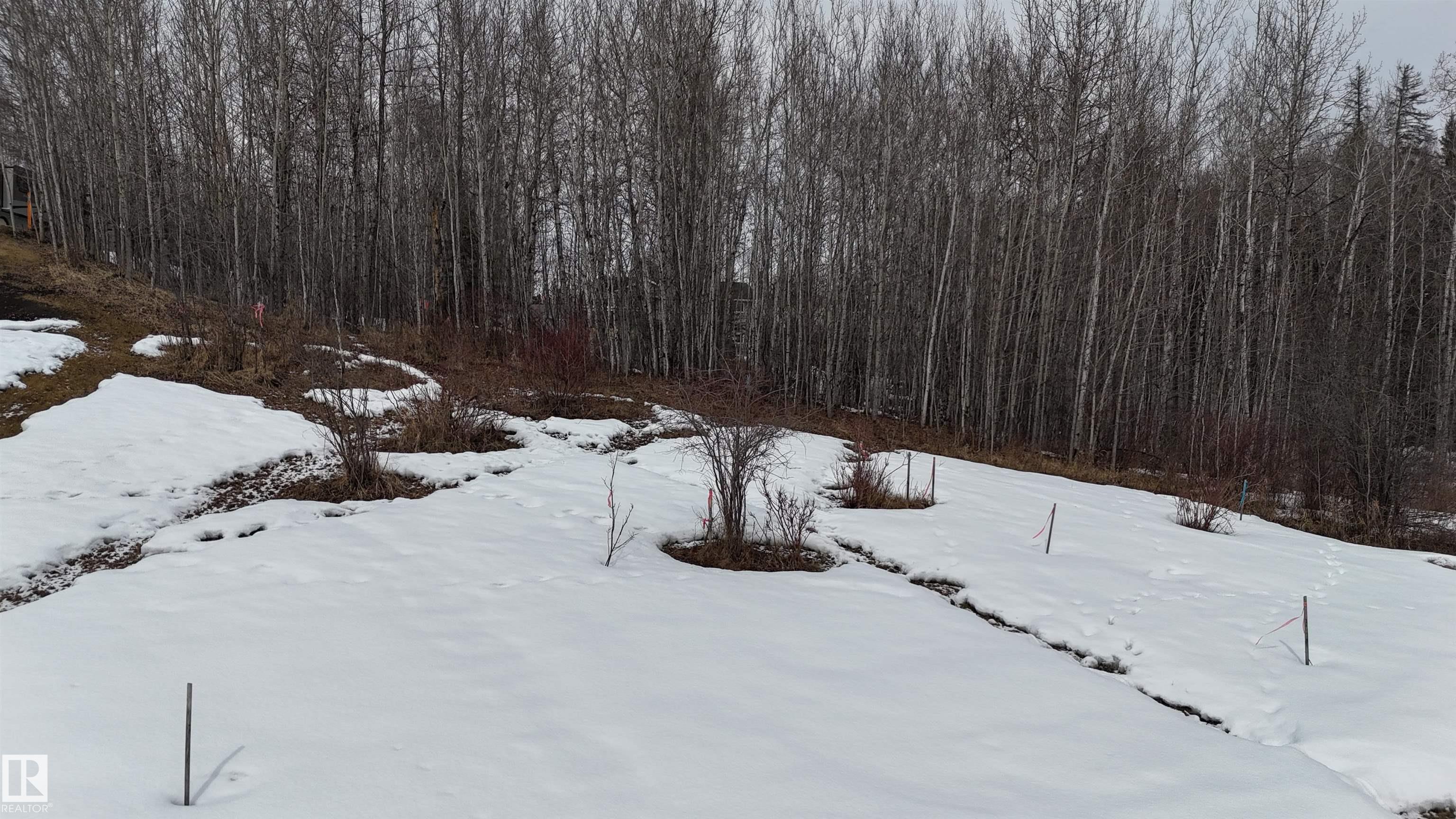 Second View of 136 Birchwood Village Greens, Birchwood Village Green, Rural Brazeau County, Alberta, T0C 1W0