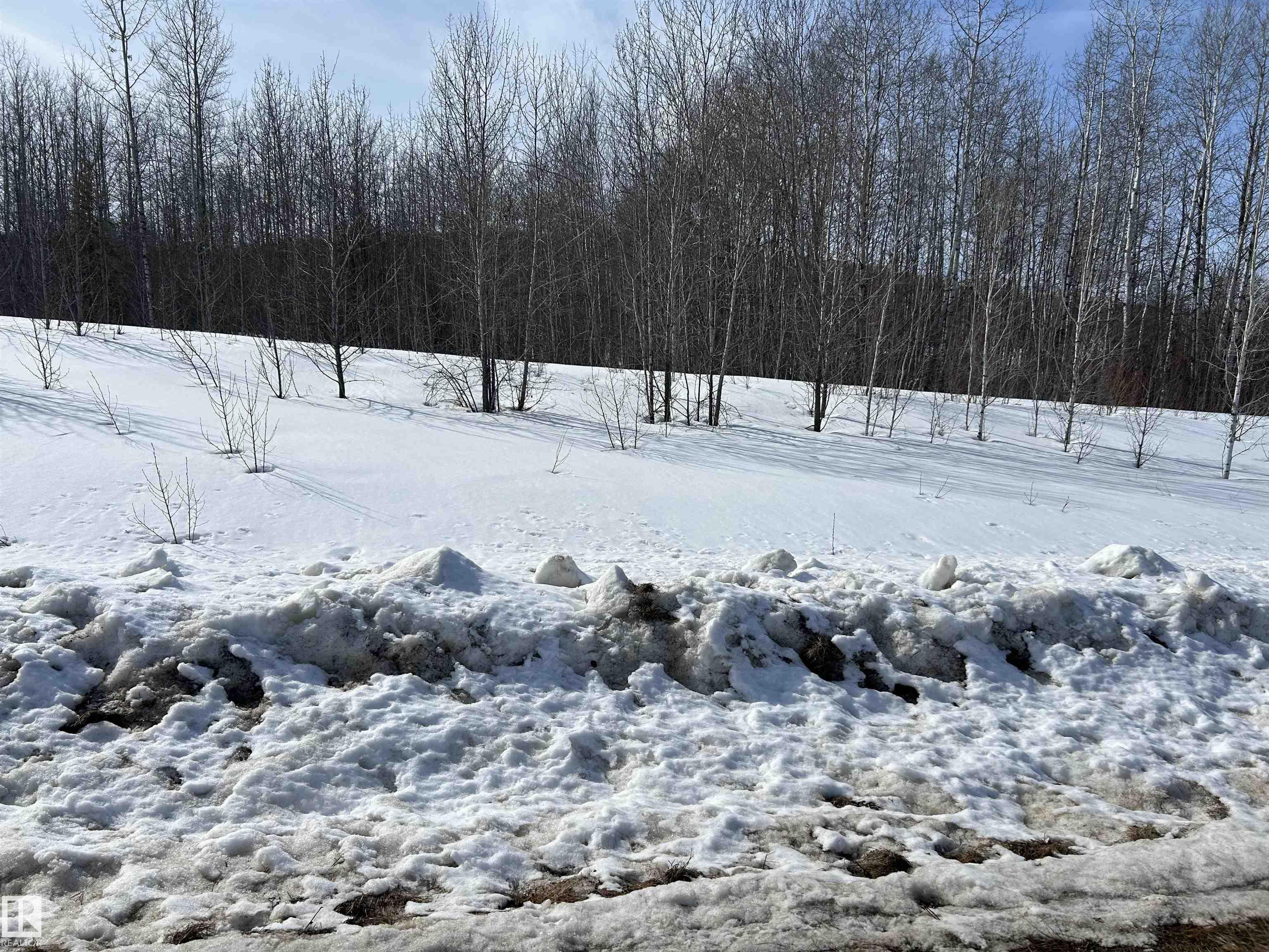 NE 23 62 1 W4 411A Road, E4481875, Alberta,