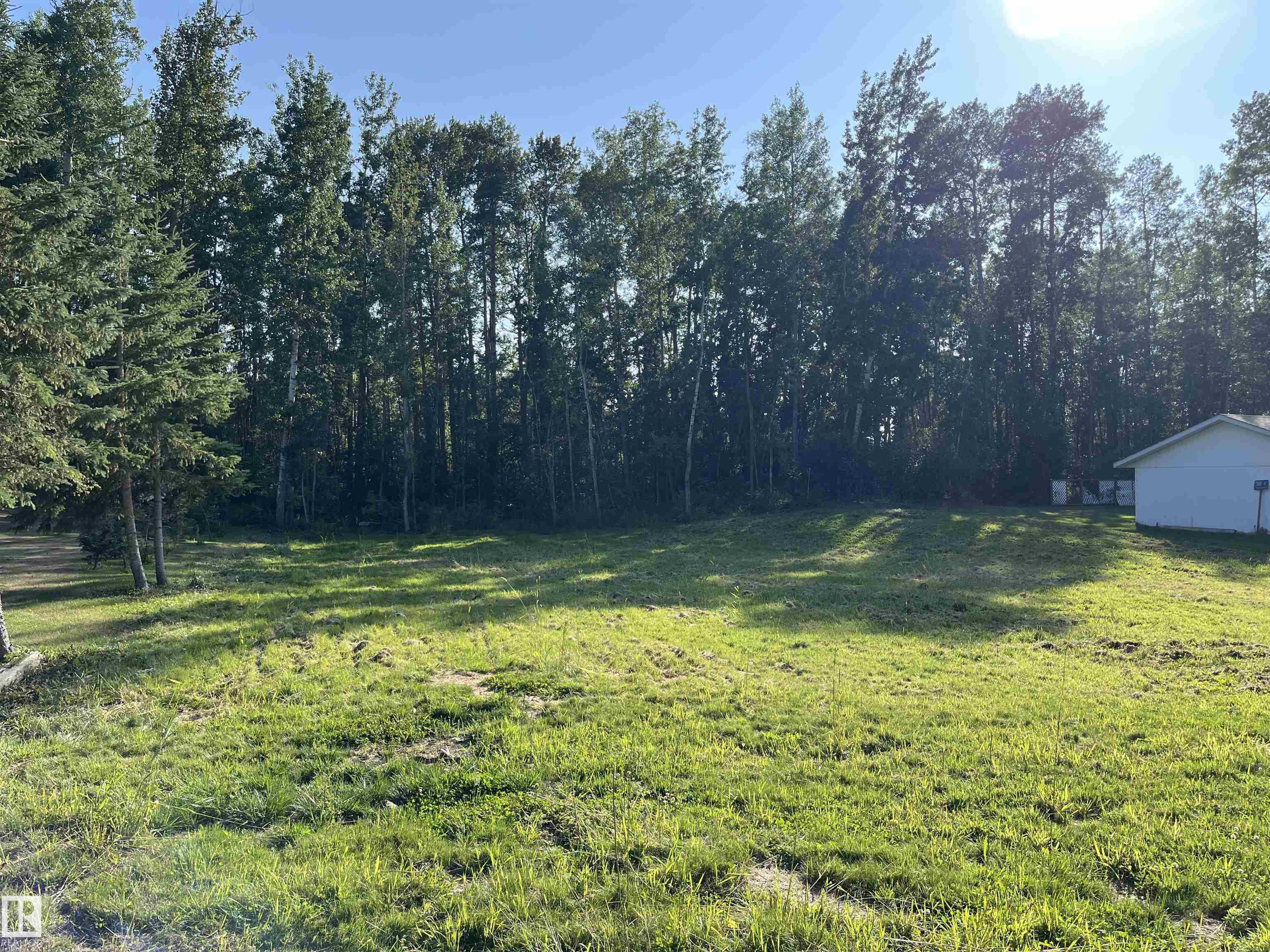 3 SPRUCE Crescent, E4482183, Alberta,