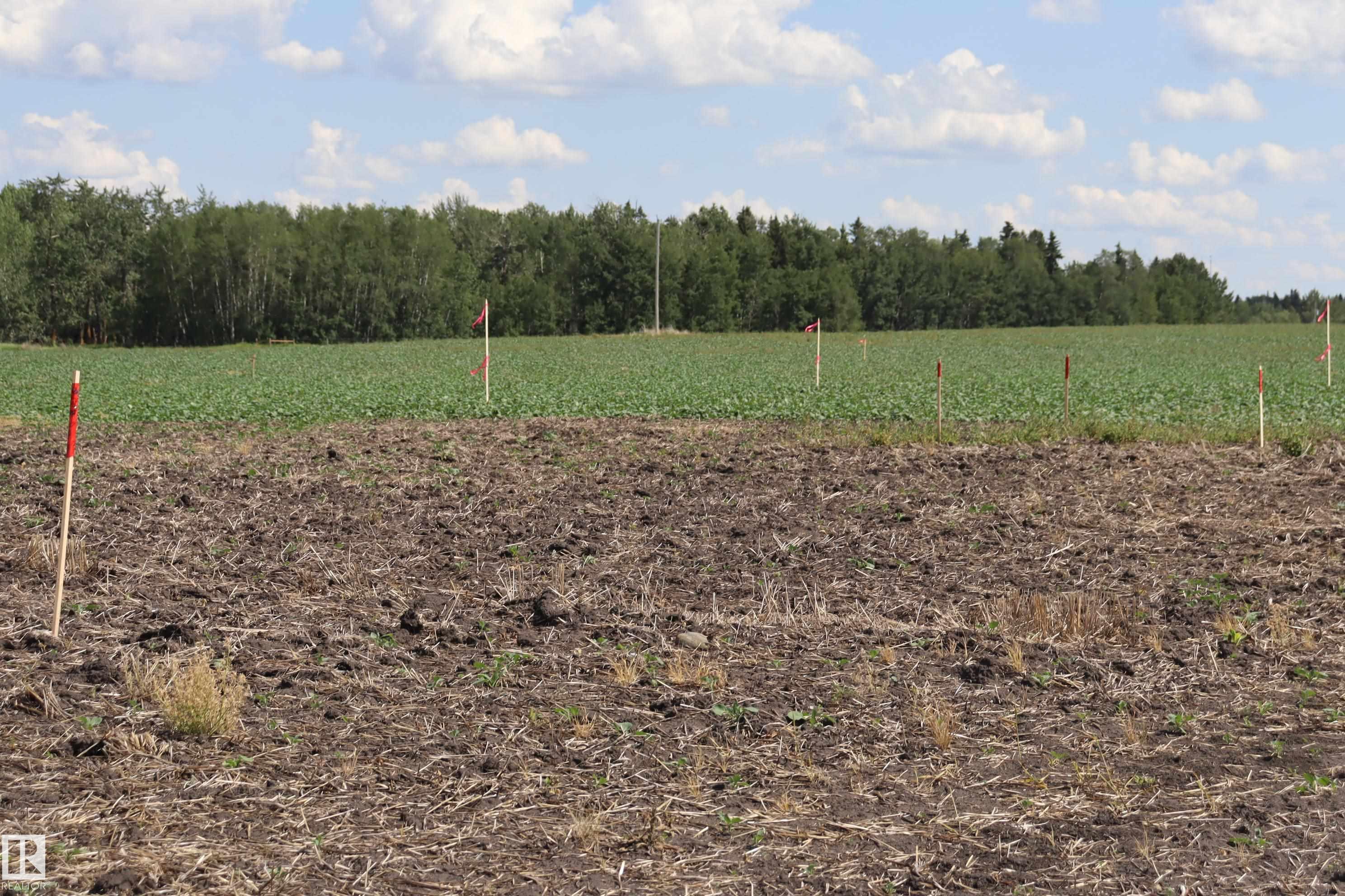 Second View of 49310 Rgr Rd 214, None, Rural Camrose County, Alberta, T0B 2M2