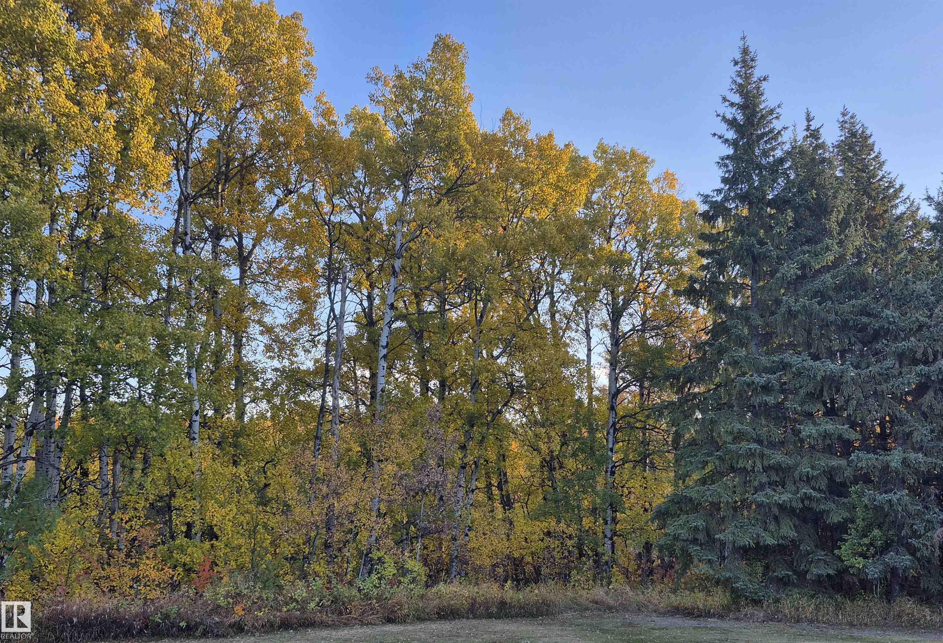 49 50322 RGE ROAD 10, E4485414, Alberta,
